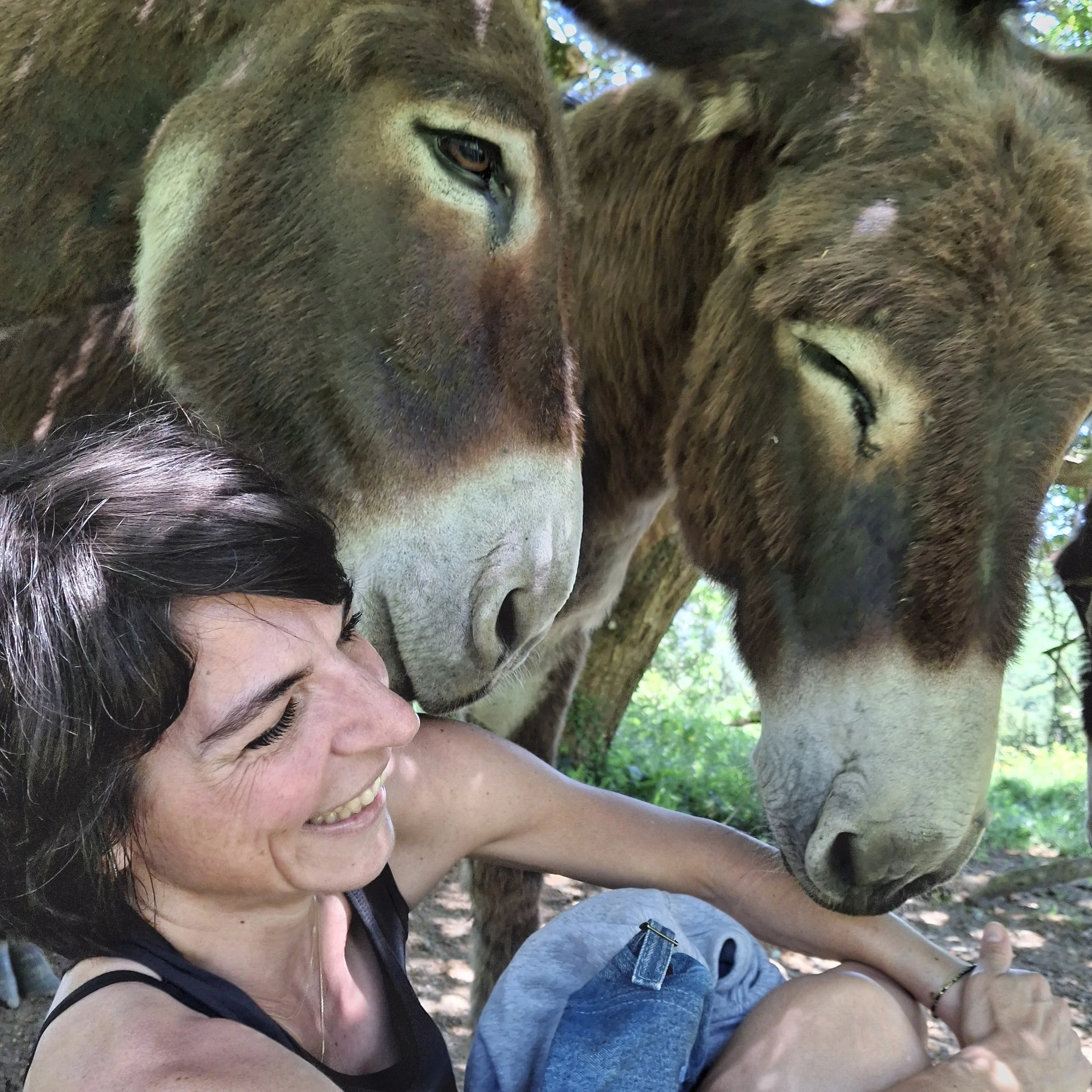 Ferme avec animaux et potager. Préparation de recette ayurvédique simple et variations adaptées aux doshas lors de retraites yoga en Occitanie. Cuisine consciente en gîte écologique de groupe dans l’Aude.
