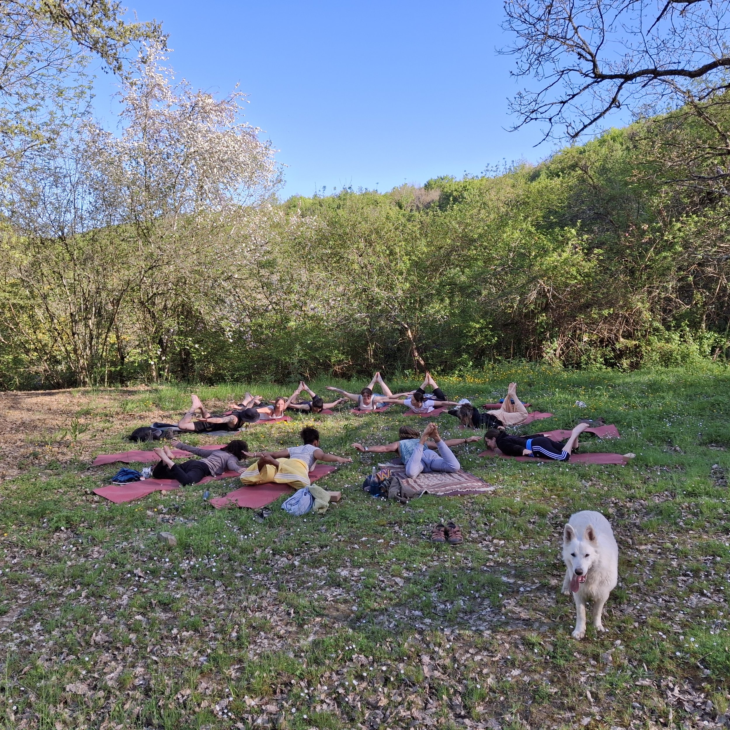 Gîte de groupe en Occitanie proposant des chambres écologiques pour retraites yoga et stages de développement personnel. Matériaux naturels, repos profond, calme absolu. Location de lieu de stage dans l’Aude, proche de Toulouse et Montpellier.