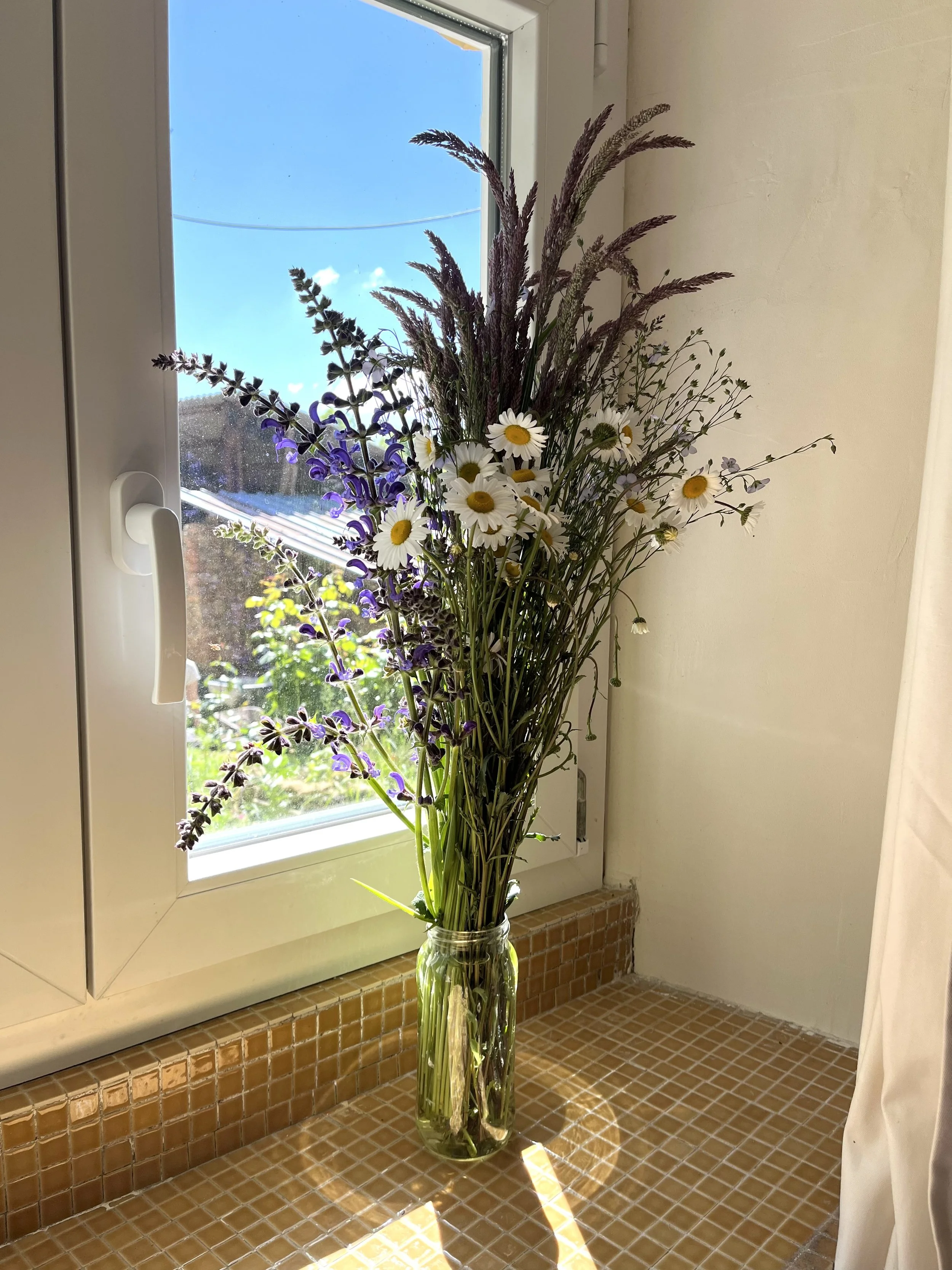 Gîte de groupe écologique en Occitanie, pensé pour la location de stages yoga et retraites bien-être. Ferme rénovée avec matériaux naturels, au calme absolu, sans voisin. Situé dans l’Aude, proche de Limoux et Carcassonne, à distance raisonnable de T