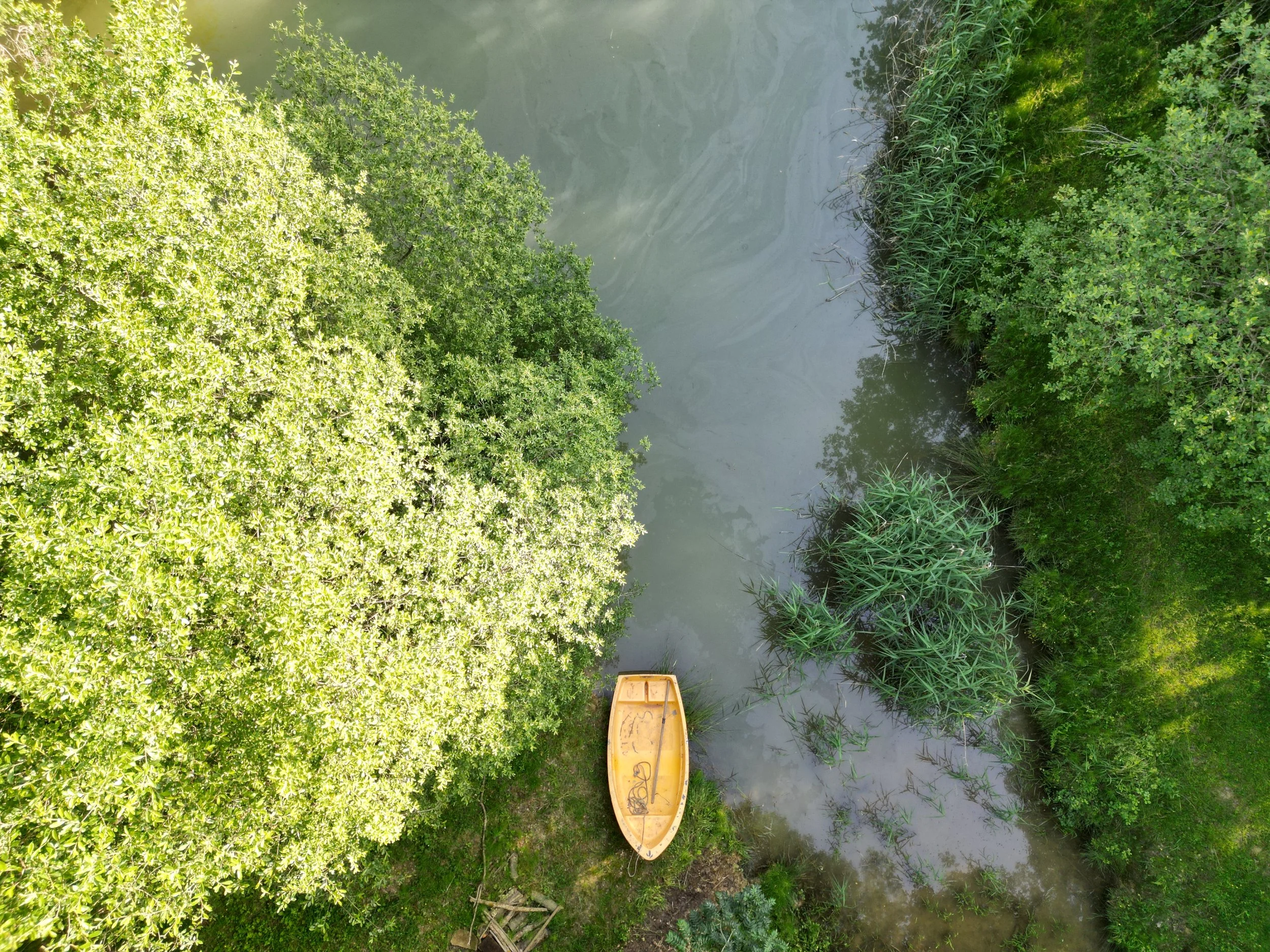 Privatiser un gîte de groupe en Occitanie pour stage yoga et séjour bien-être. Accès exclusif au domaine, salle de pratique et espaces extérieurs. Location dans l’Aude, proche Pyrénées.