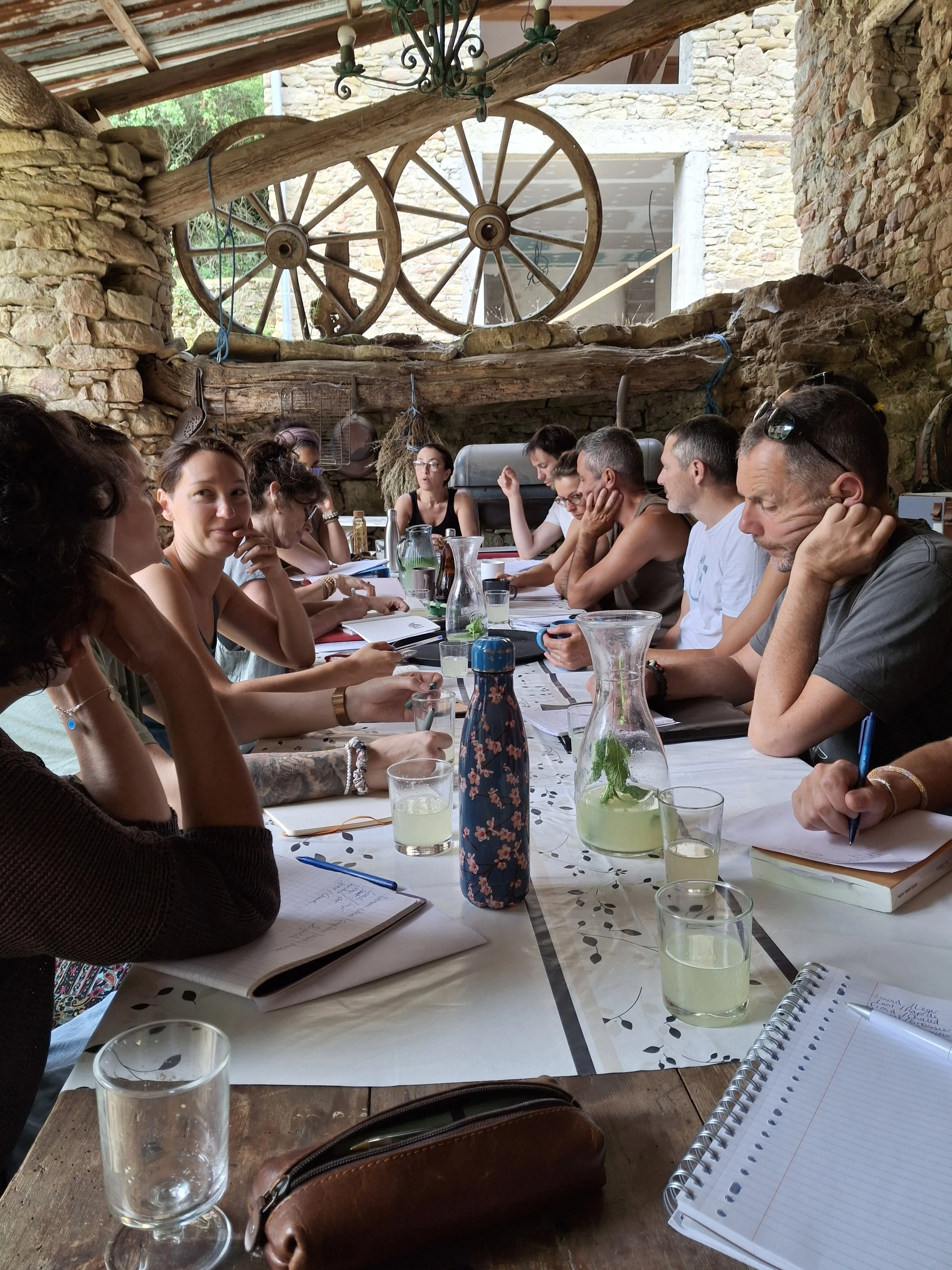 Forêt et biodiversité d’un écolieu en Occitanie, où la nature évolue librement. Lieu de retraite yoga et de stage bien-être, location de gîte écologique 15 personnes dans l’Aude, entre Pyrénées et pays cathare. Hébergement idéal pour groupes, situé à