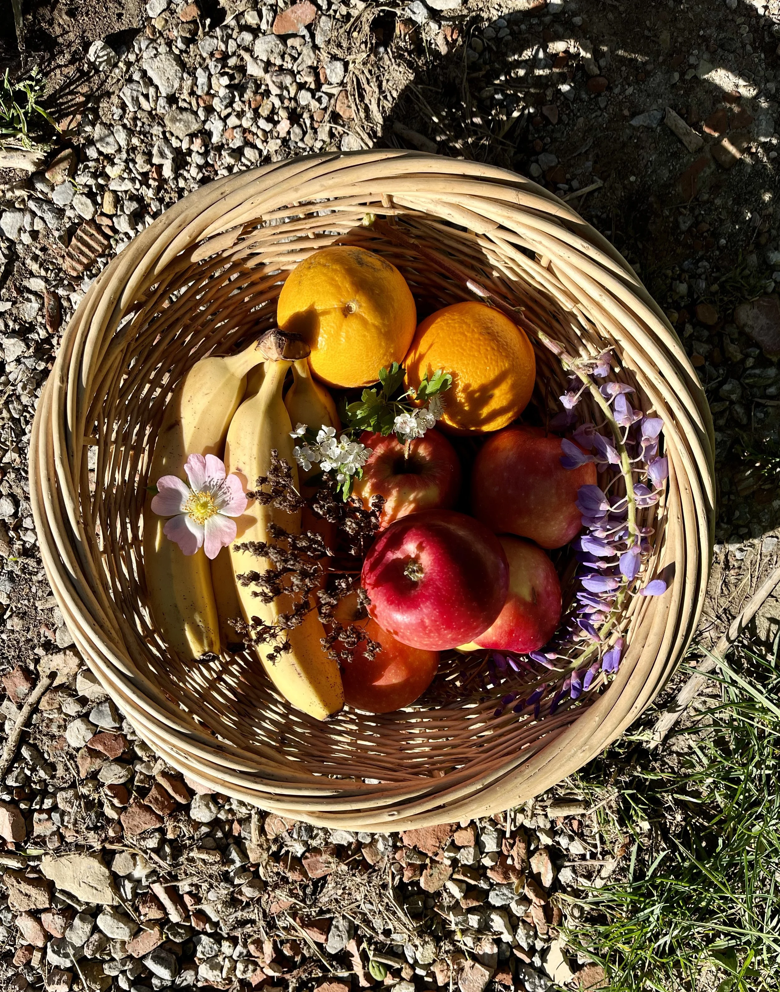 Un panier en osier rempli de fruits, comprenant des bananes, des pommes, des oranges, et décoré avec quelques fleurs violettes et blanches. Repas ayurvédique au Domaine de Maynard, gite de groupe en Occitanie.  