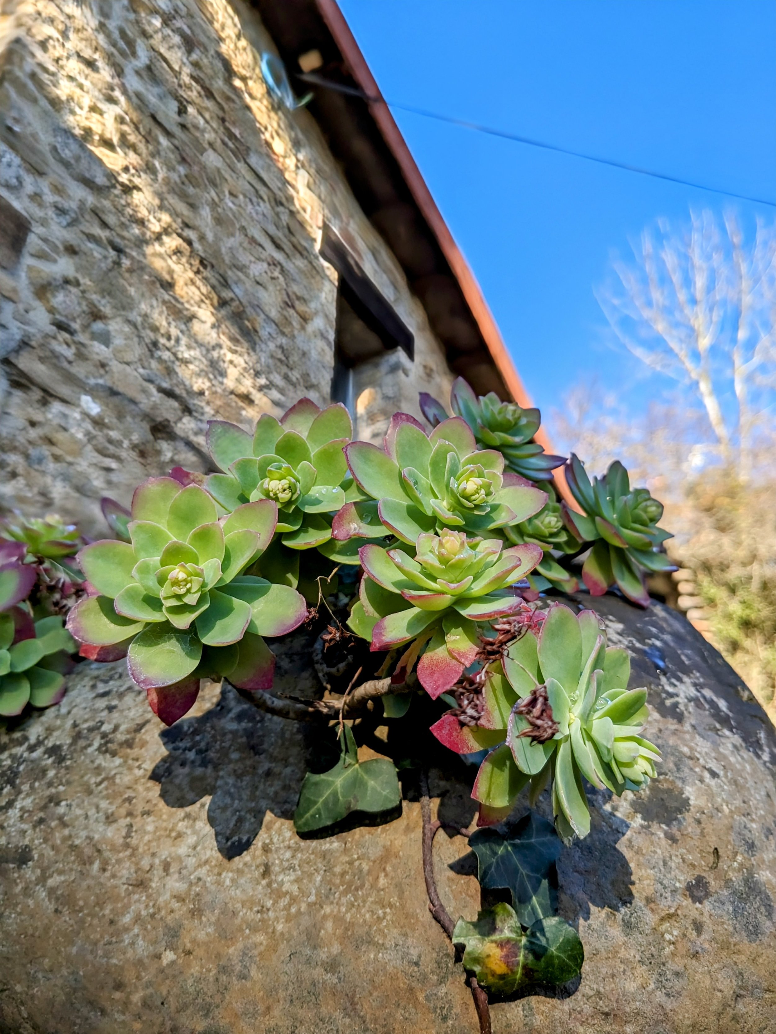 Ferme ancienne devenue gîte de groupe en Occitanie, accueillant retraites yoga et stages de développement personnel. Lieu de transmission ancré dans l’histoire paysanne de l’Aude, proche Pyrénées et Ariège.