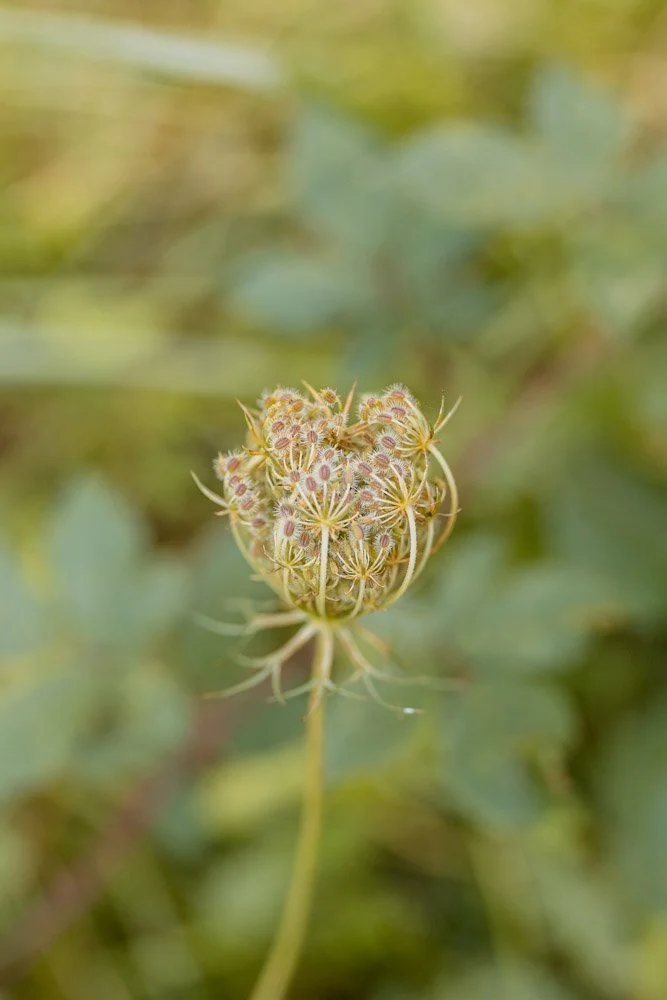 Gîte de groupe en Occitanie pour séjours, retraites yoga et stages développement personnel. Location de lieu de stage dans l’Aude, proche Toulouse Montpellier.