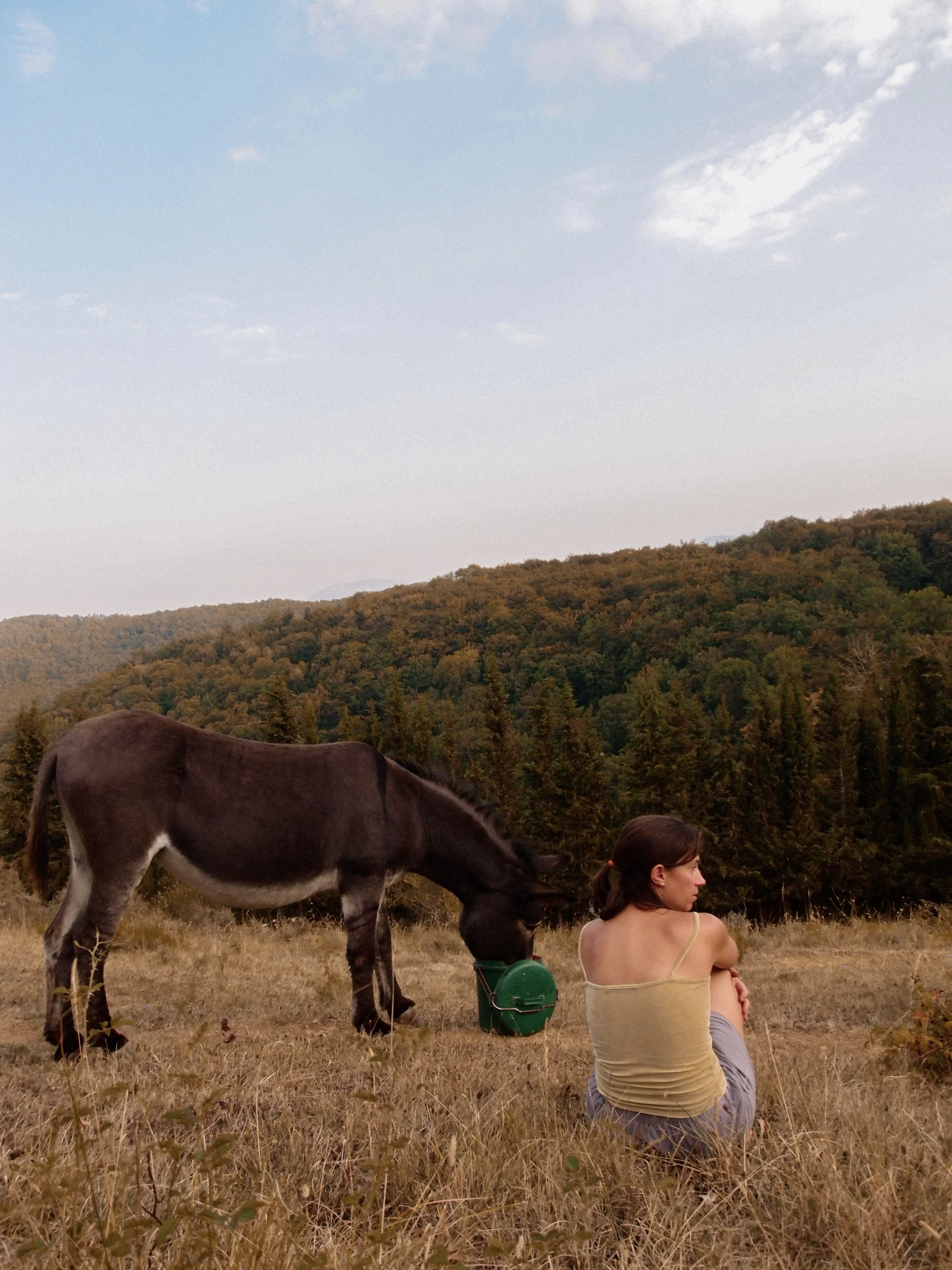 Location de gîte de groupe à 30 minutes de la gare de Limoux, dans l’Aude. Salle de pratique pour stages et retraites.