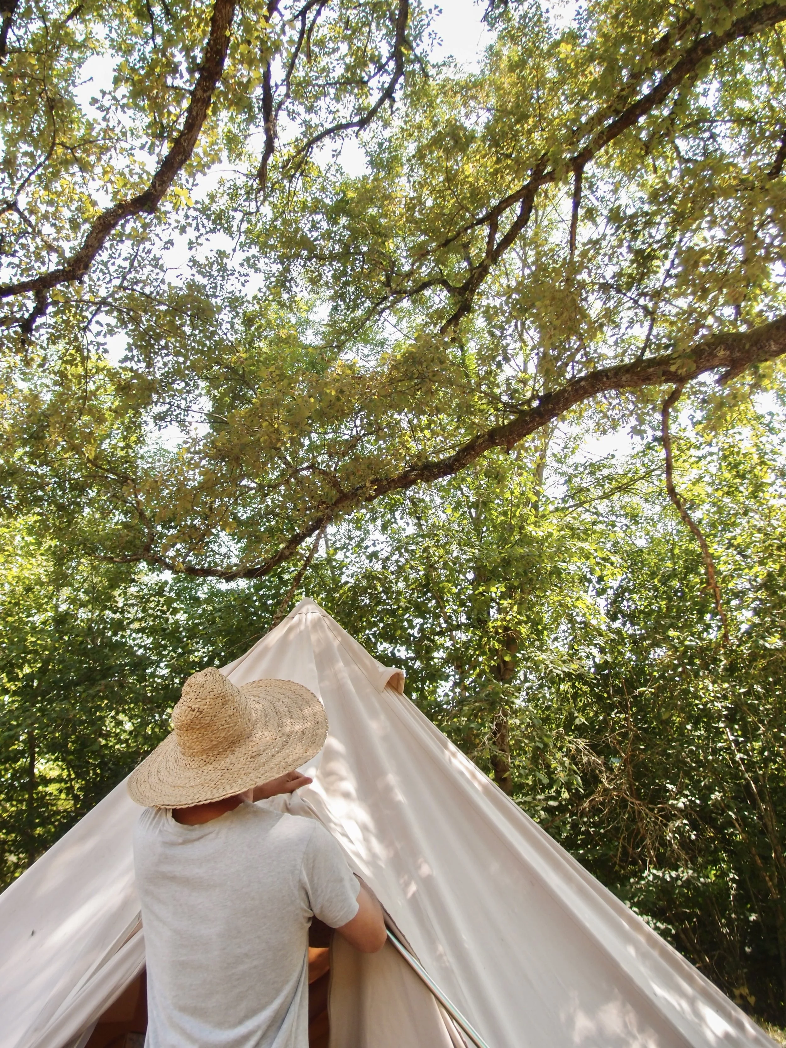 Cuisine de recette ayurvédique avec variations douces pour stages yoga et développement personnel en Occitanie. Gîte écologique 15 personnes dans l’Aude, accessible Toulouse Montpellier.