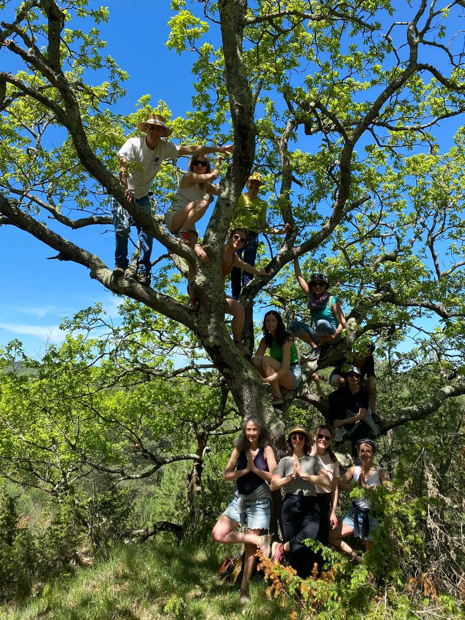 Vue extérieure du gîte de groupe en pleine nature près de Limoux