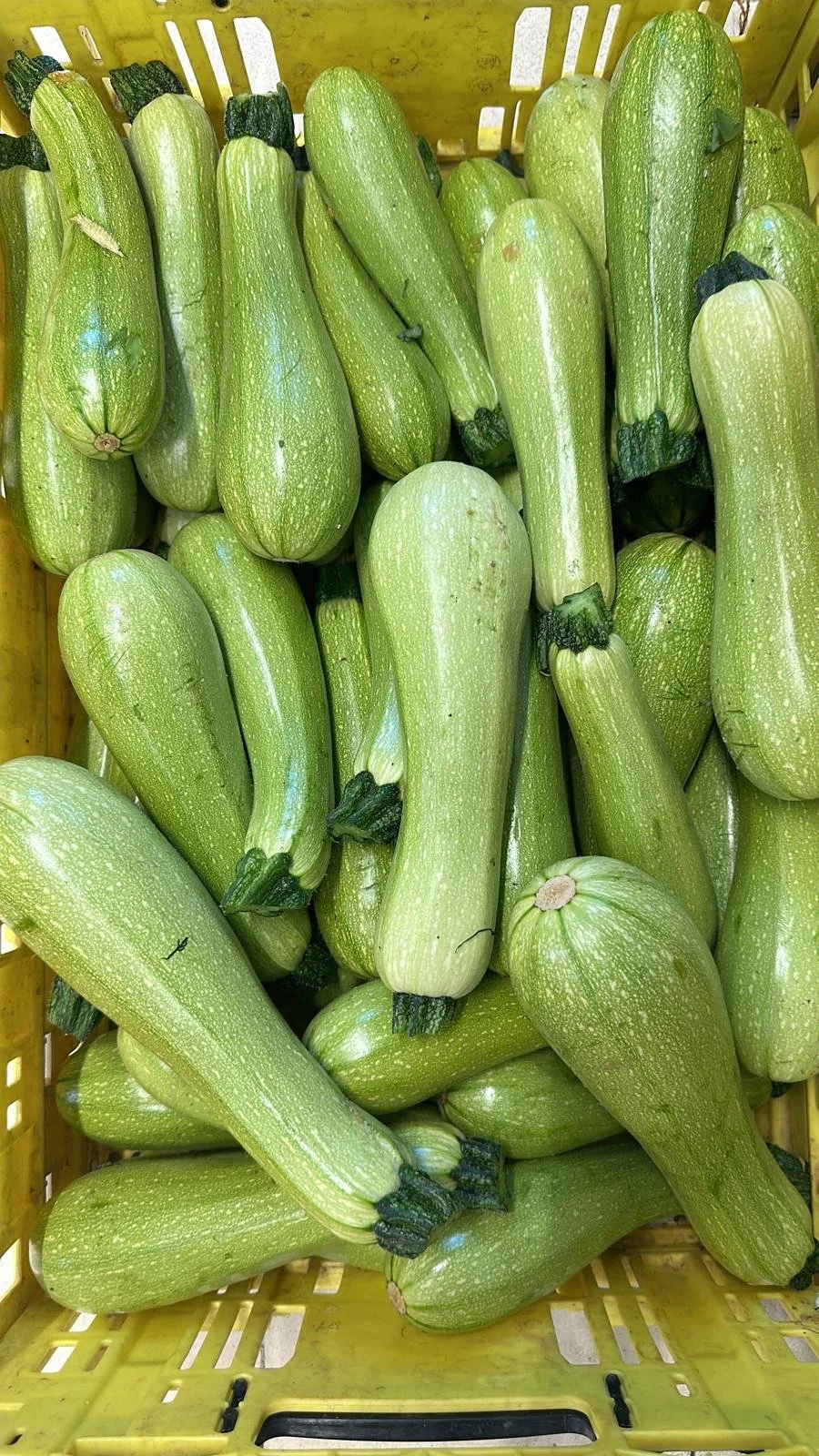 Recettes simples de stage bien-être en Occitanie, issues d’une cuisine ayurvédique et naturopathique. Plats de saison, végétariens, pensés pour la digestion. Lieu de retraite yoga dans l’Aude.