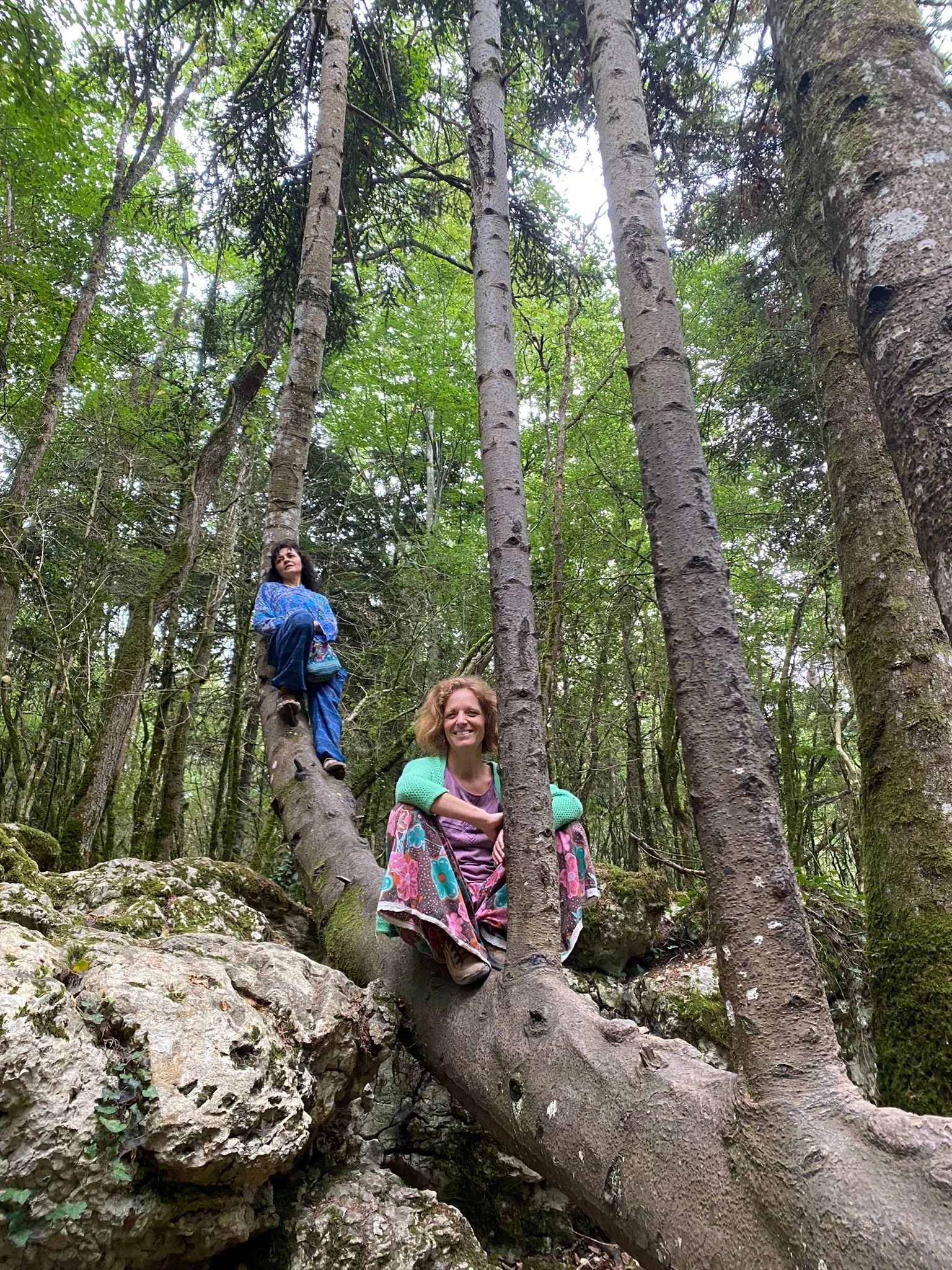 Domaine de charme pour groupes proche gare de Limoux
