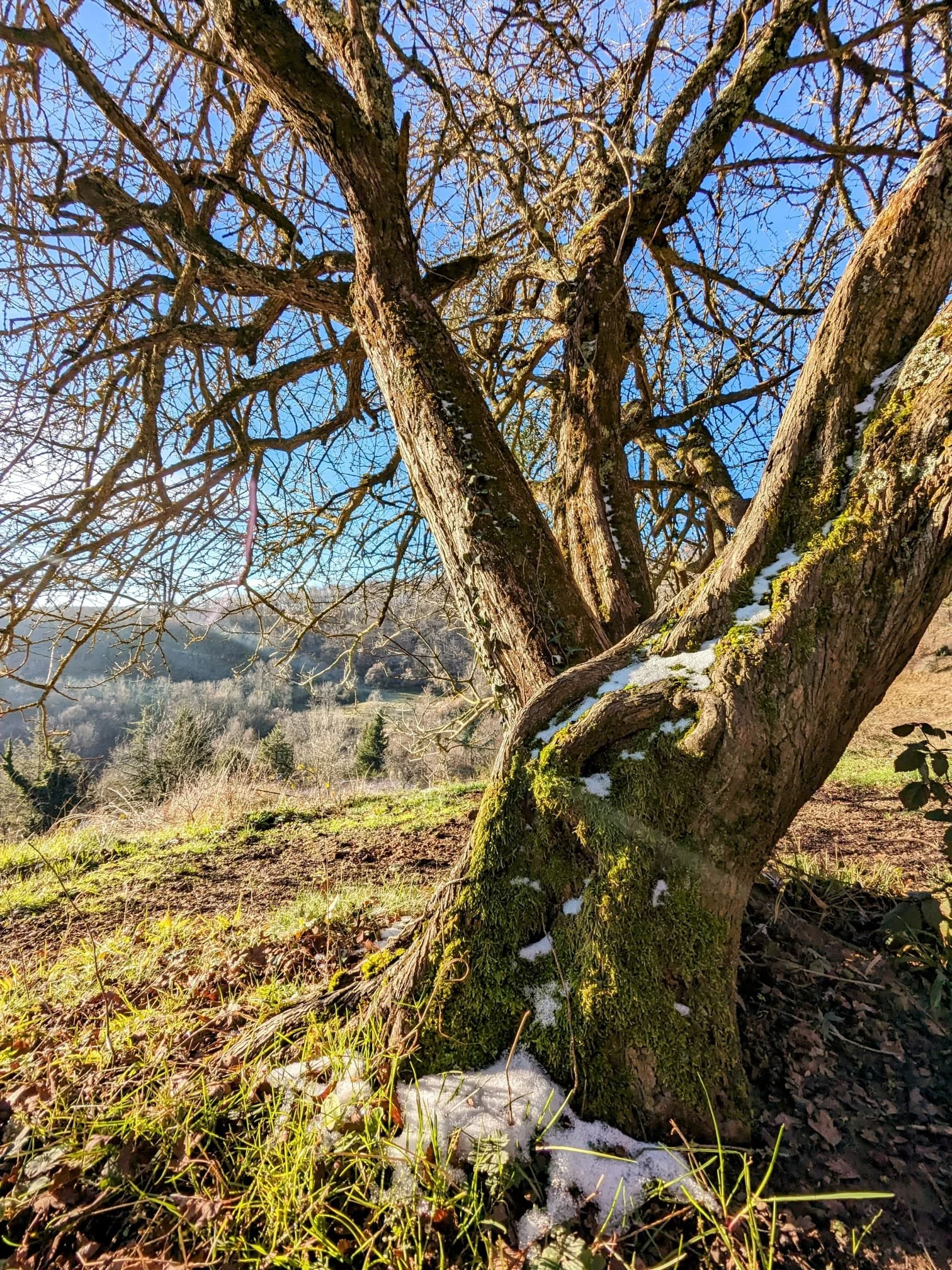 Chambre d’une ancienne ferme rénovée en gîte écologique de groupe en Occitanie. Hébergement pour retraites yoga, stages bien-être et formations, dans l’Aude, proche des Pyrénées, accessible depuis Toulouse et Montpellier.
