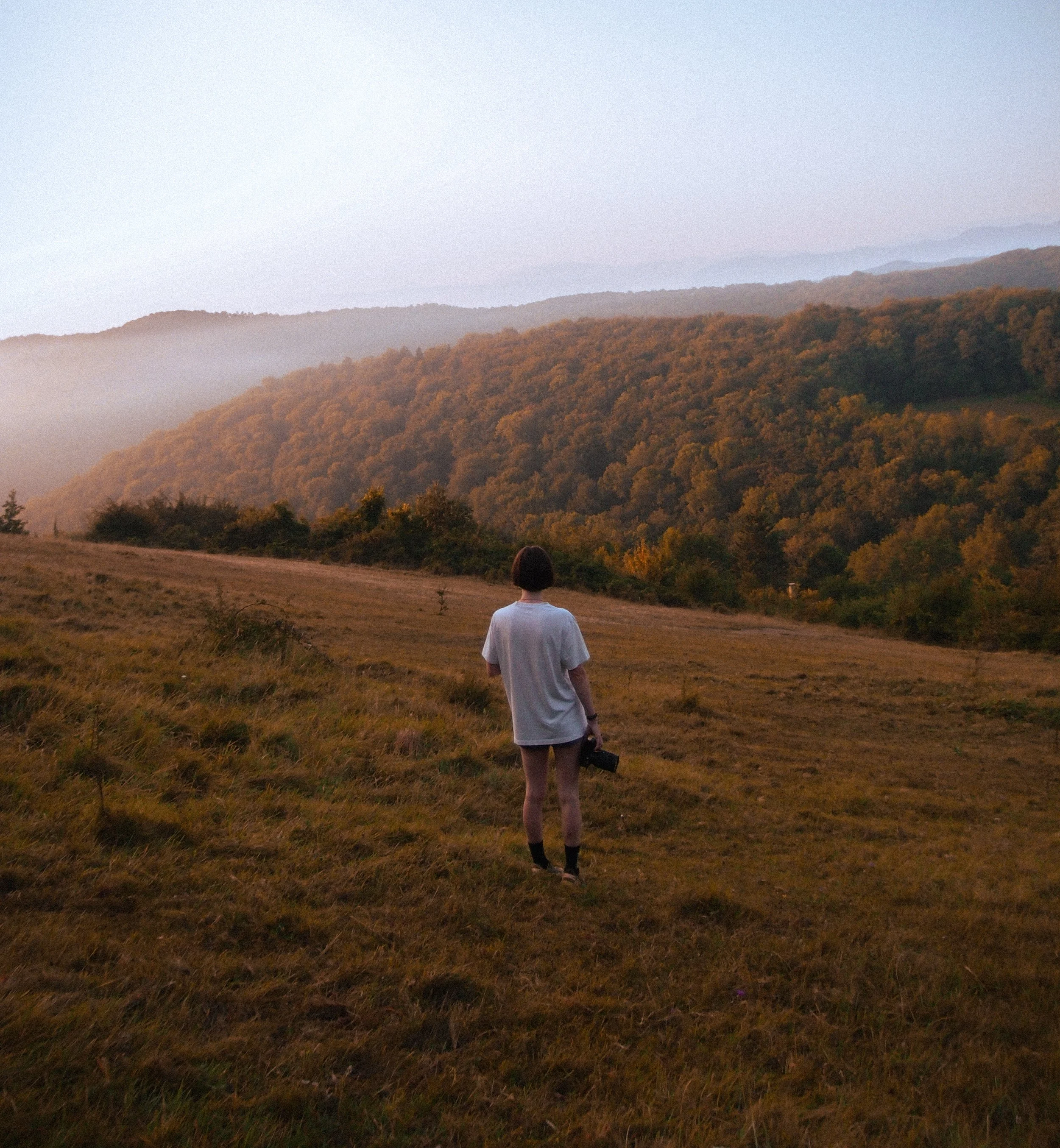 Faune et flore d’un gîte de groupe en Occitanie, préservées par une approche sobre et respectueuse. Un environnement naturel pour retraites yoga, stages de développement personnel et séjours nature dans l’Aude. Le domaine de Maynard fut la maison d'e
