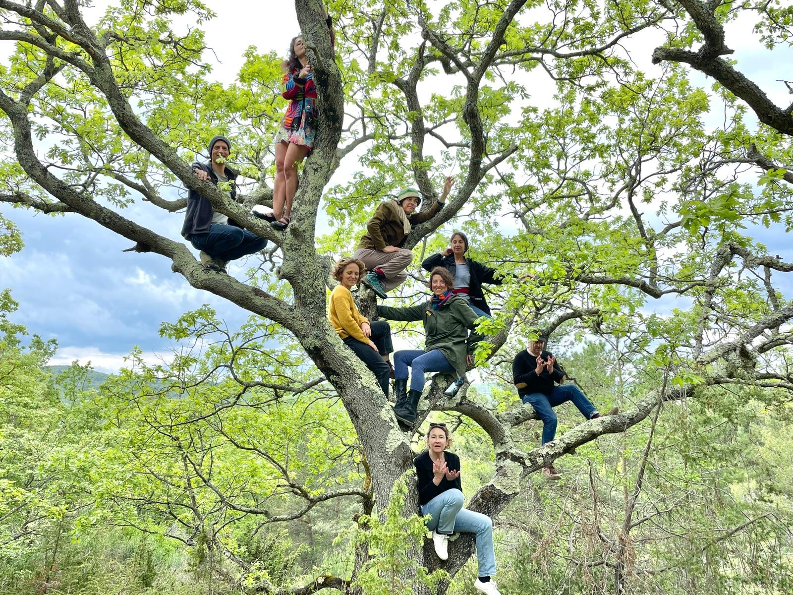 Espaces extérieurs d’un gîte écologique en Occitanie, pensés pour retraites yoga, stages bien-être et séjours collectifs. Terrasses ouvertes, forêt, étangs et silence accompagnent la pratique et le repos. Location de gîte de groupe 15 personnes dans 