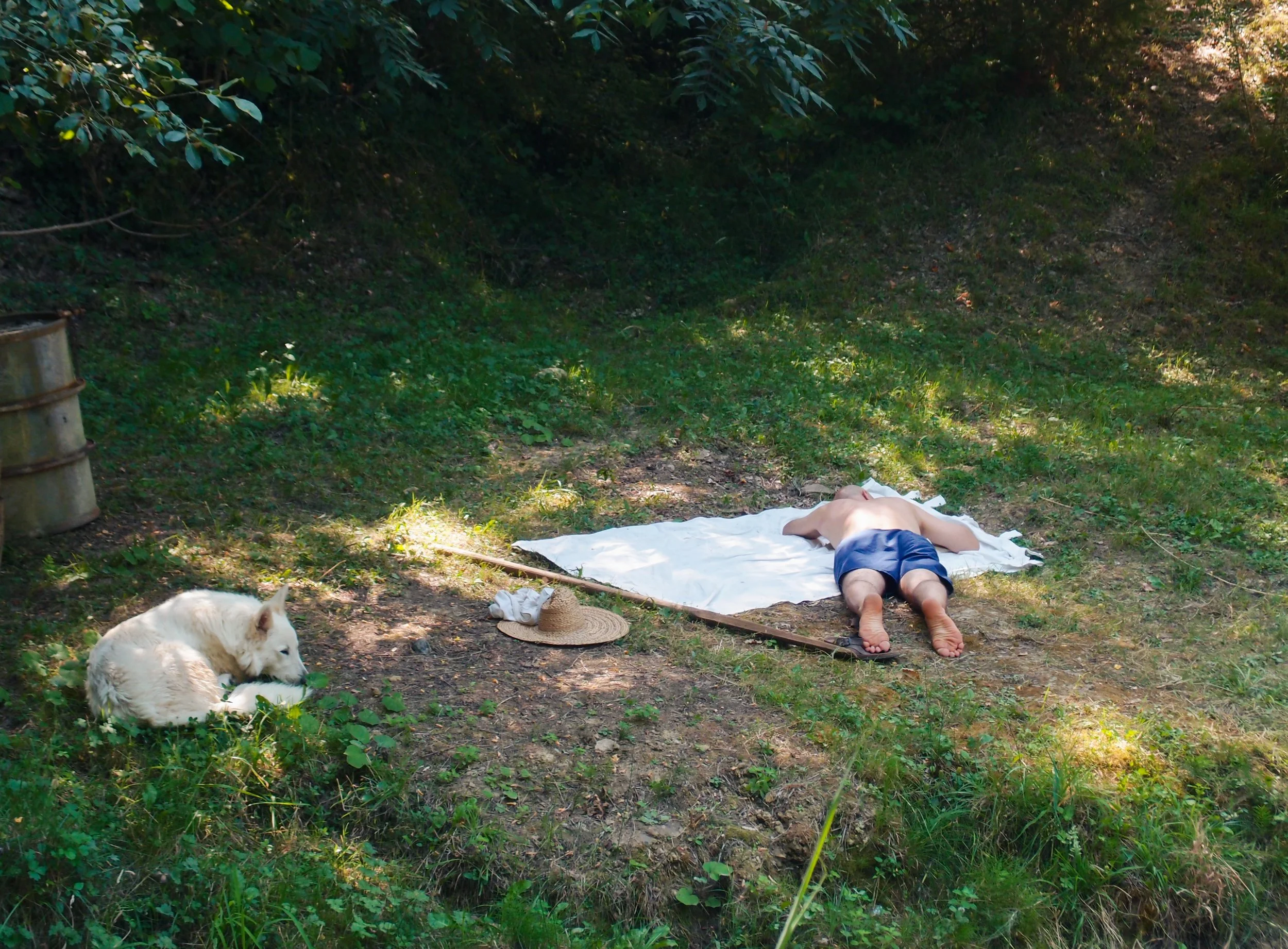 Plats ayurvédiques simples servis dans un gîte de groupe en Occitanie. Recettes digestes pour retraites yoga et stages bien-être. Location de lieu de retraite dans l’Aude. Hébergement de groupe en pleine nature, à 30 minutes de la gare de Limoux.