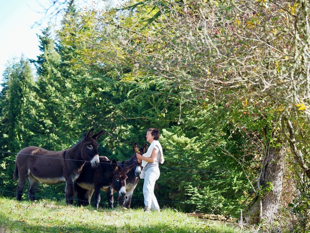 Accès à un gîte écologique en Occitanie situé dans l’Aude, lieu de retraite yoga et stage bien-être en pleine nature. Arrivée par Carcassonne puis route de campagne. Location de gîte de groupe 15 personnes, accessible depuis Toulouse (1h30) et Montpe