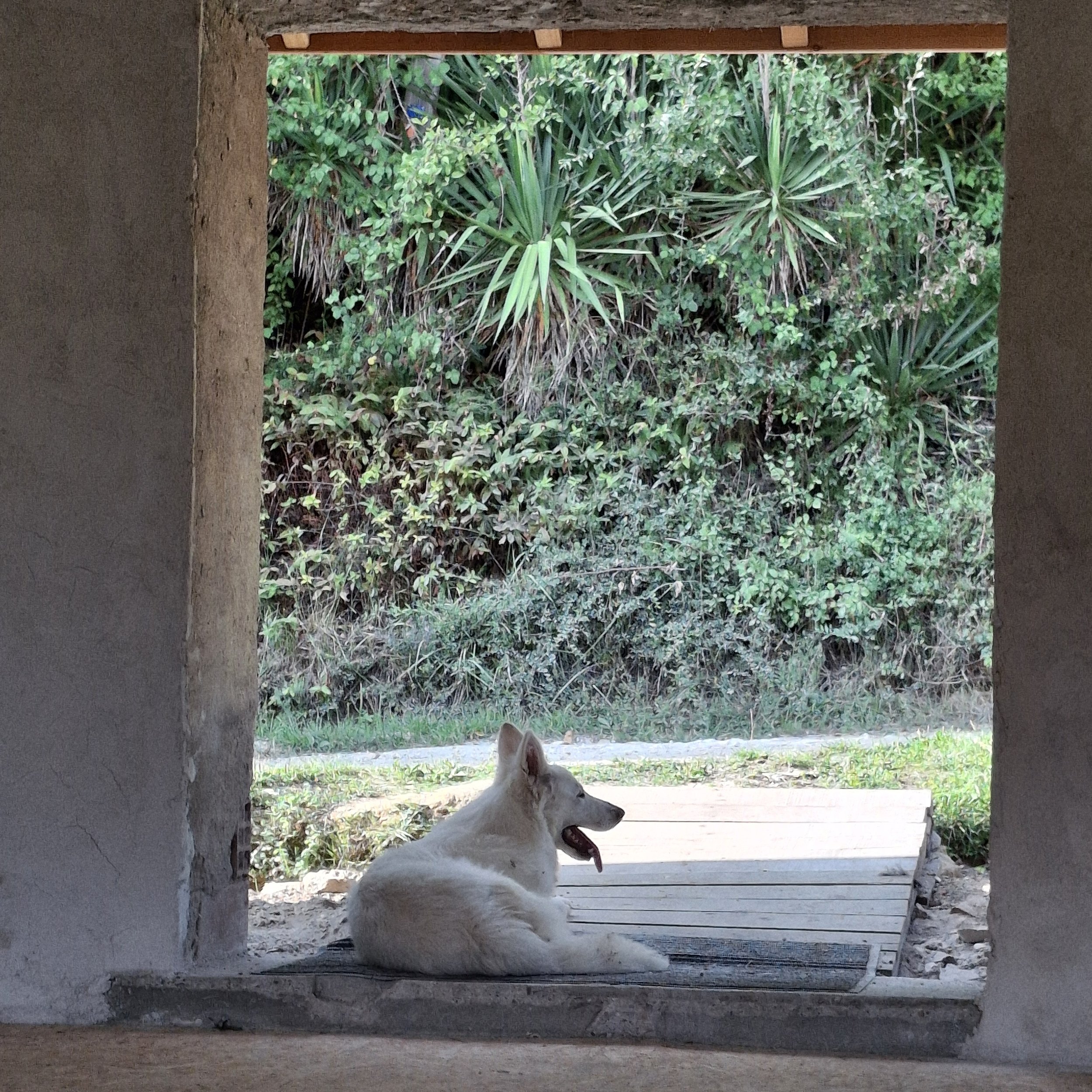 Hébergement de groupe à 30 minutes en voiture de la gare de Limoux, au cœur de l’Occitanie. Gîte de groupe pour 15 personnes.