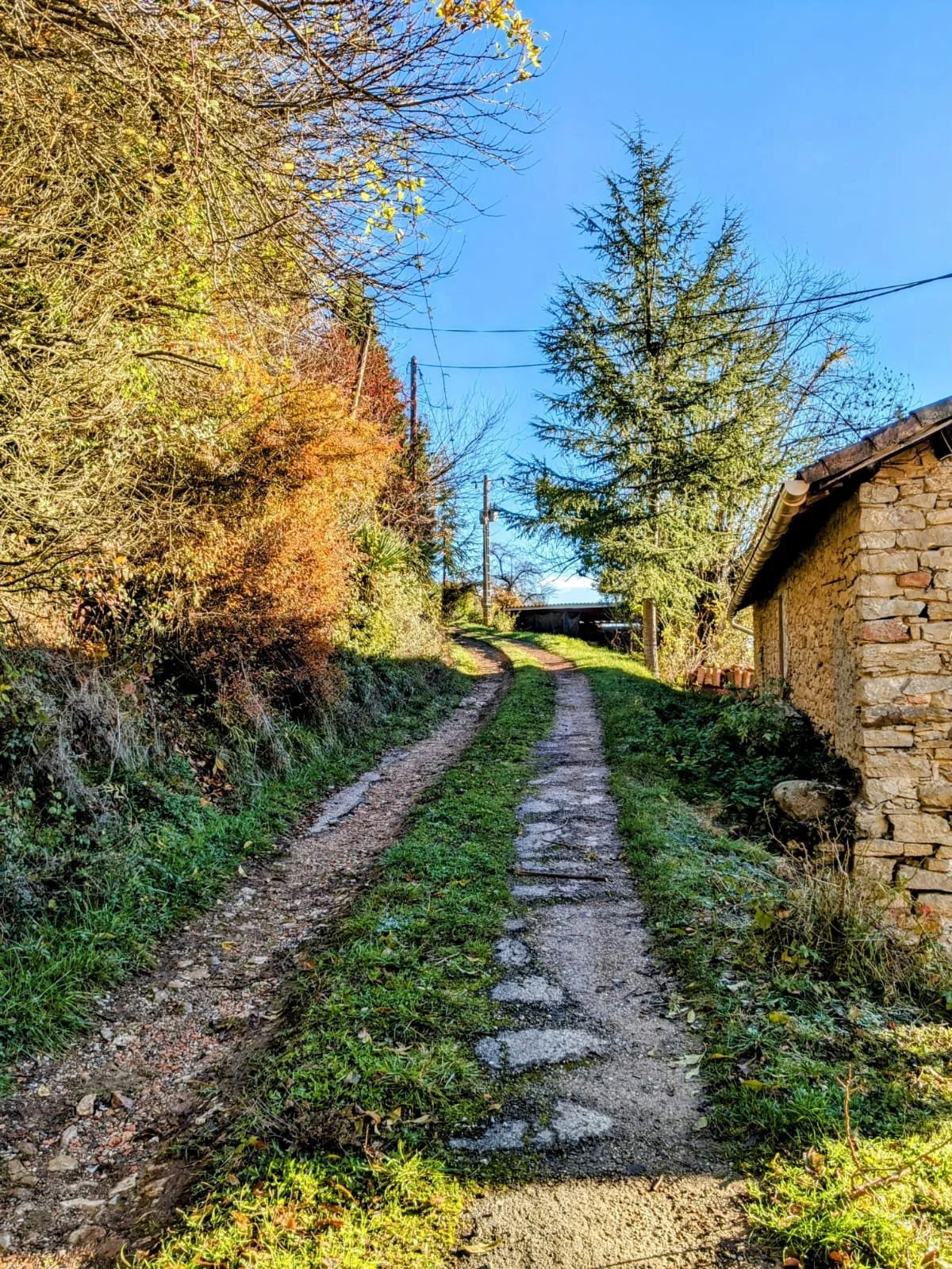 Salle de pratique ouverte sur la nature dans un écolieu rural en Occitanie. Location de gîte avec salle pour stages yoga, méditation et développement personnel. Accueil de groupes jusqu’à 15 personnes dans l’Aude, à 1h30 de Toulouse et 2h de Montpell