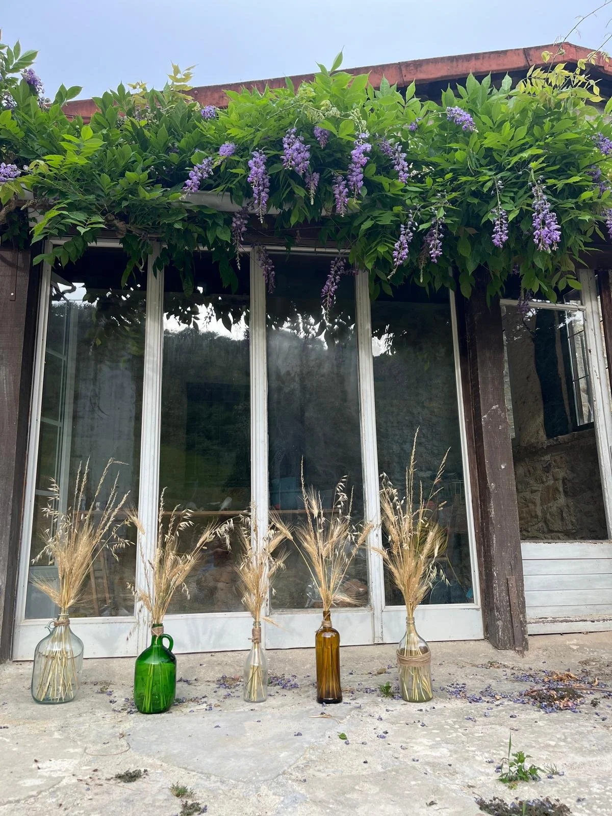 Écolieu rural en Occitanie issu d’une ferme ancienne, témoin d’une vie paysanne autonome. Aujourd’hui, location de gîte pour retraites yoga, stages et séjours de ressourcement. Hébergement de groupe 15 personnes dans l’Aude. Le domaine de Maynard fut