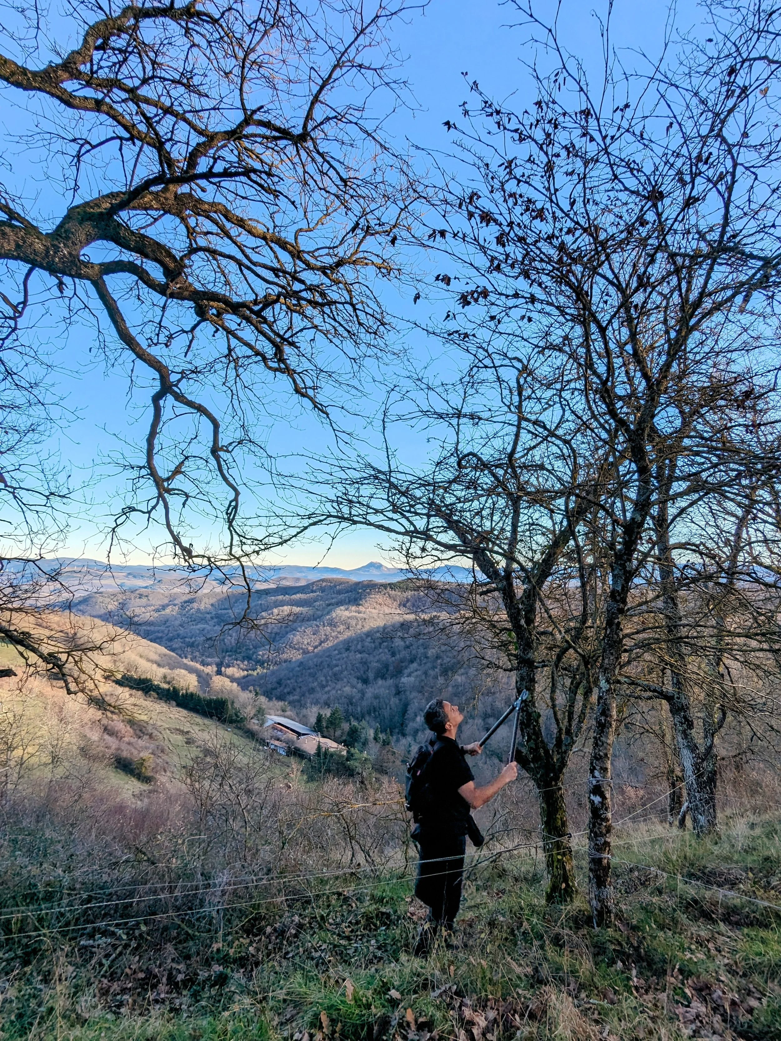 Biodiversité d’un gîte écologique en Occitanie, au cœur d’un écolieu rural vivant. Faune sauvage, insectes pollinisateurs et flore libre accompagnent retraites yoga et stages bien-être dans l’Aude.