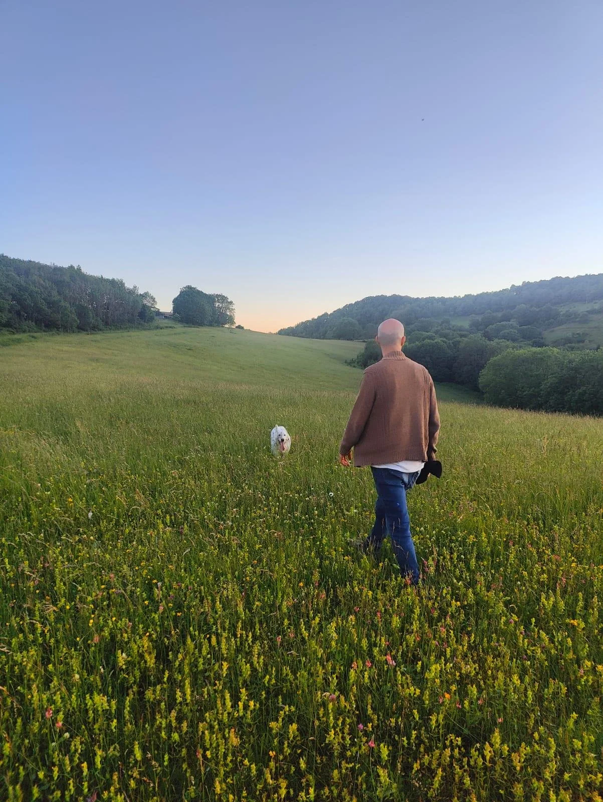 Recette ayurvédique de saison et ses variations végétariennes servies en gîte de groupe en Occitanie. Alimentation de retraite yoga et stage bien-être dans l’Aude, produits locaux bio.