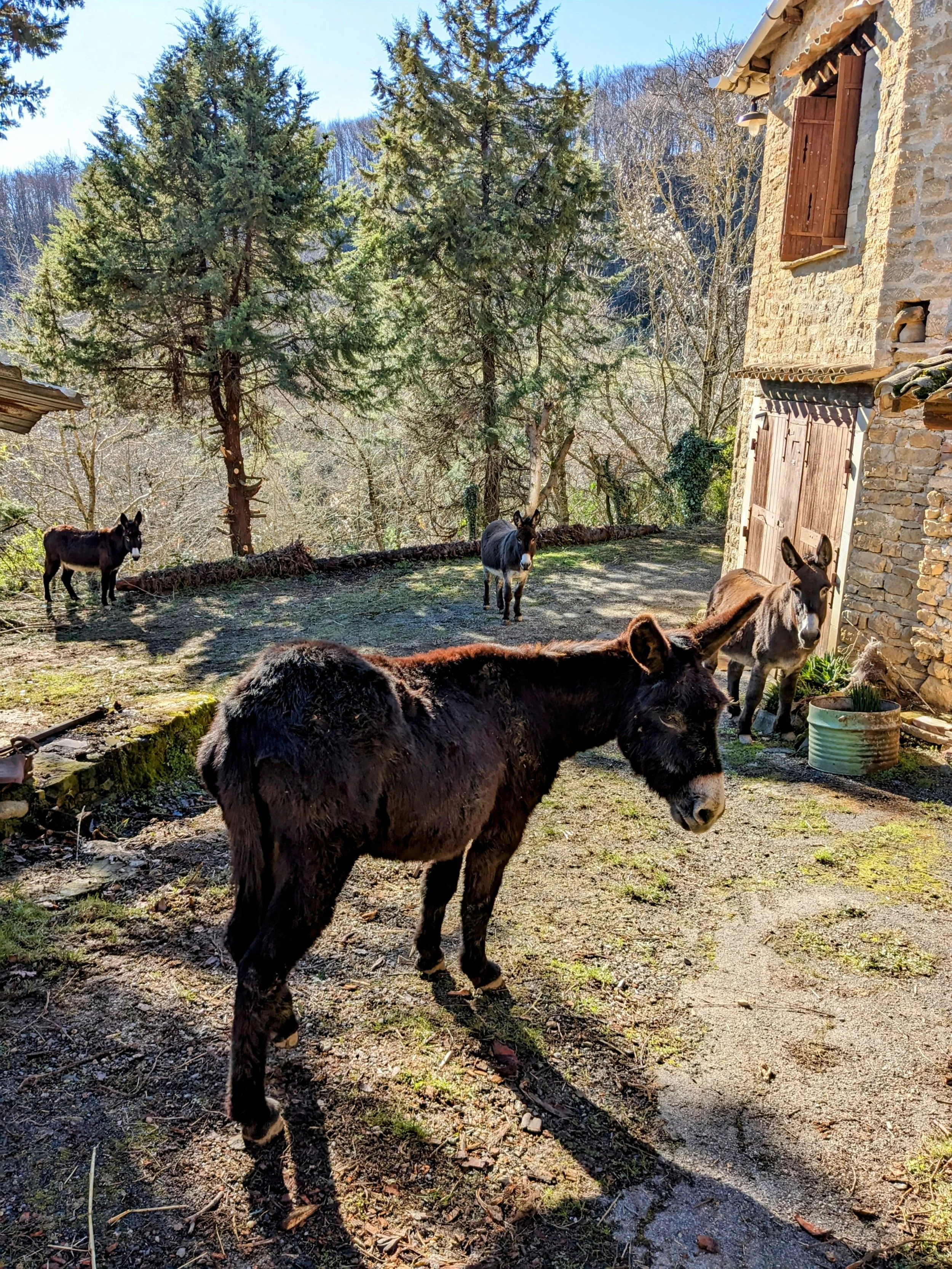 Faune et flore d’un écolieu en Occitanie, au cœur d’un gîte écologique dédié aux retraites yoga et stages bien-être. Forêt, étangs et prairies composent un milieu vivant et préservé. Location de gîte de groupe 15 personnes dans l’Aude, accessible dep