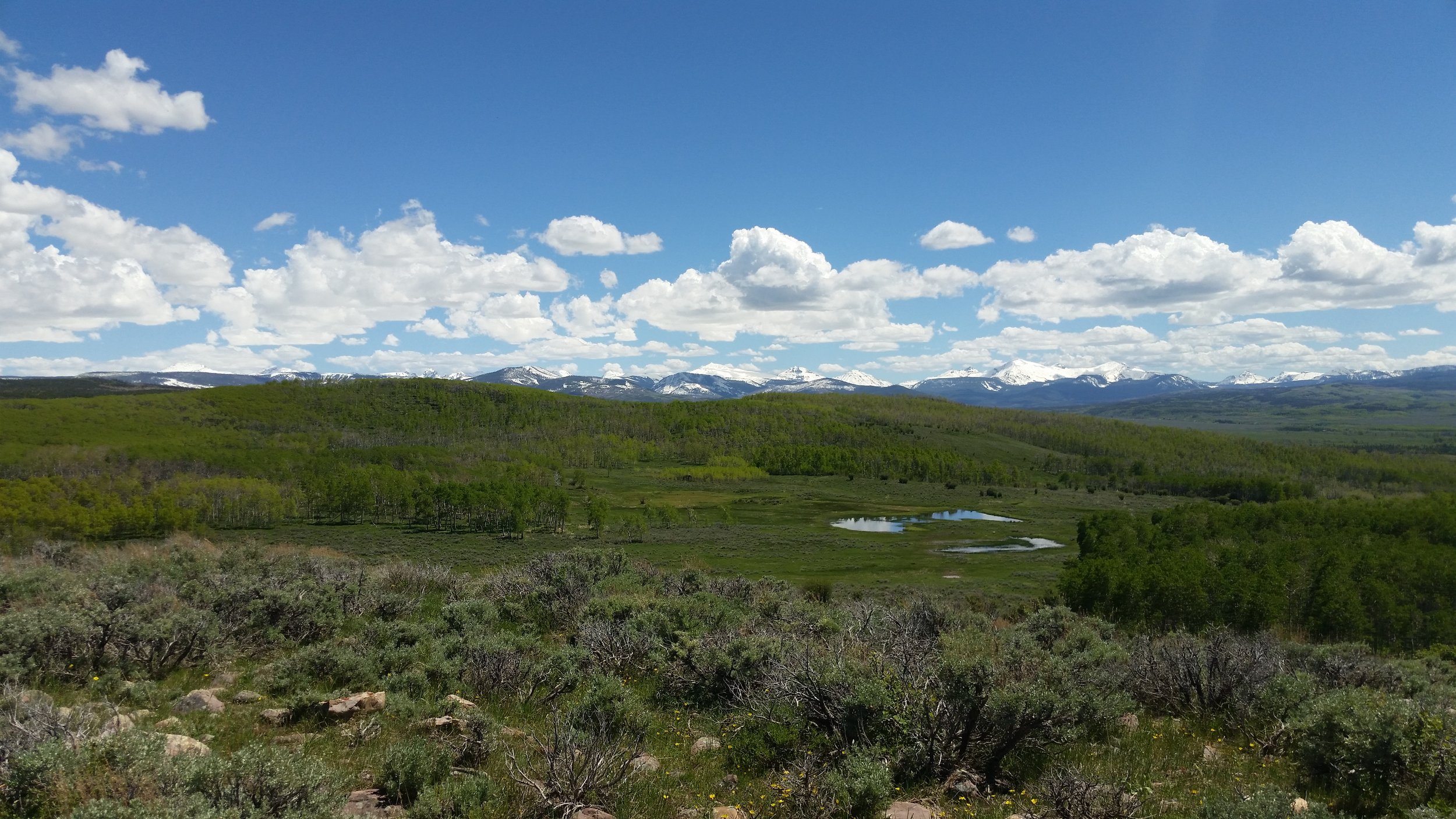 View of the Home Ranch
