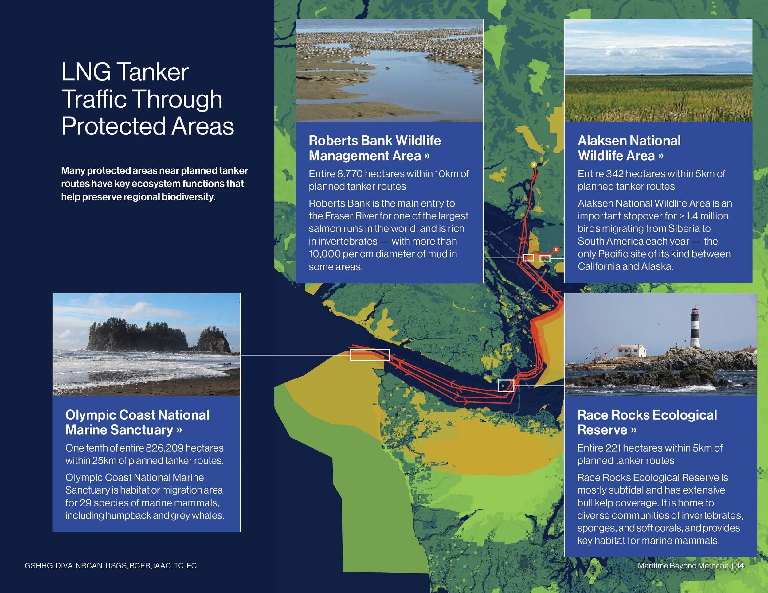 MaritimeBeyondMethane_VisualReport14.jpg
