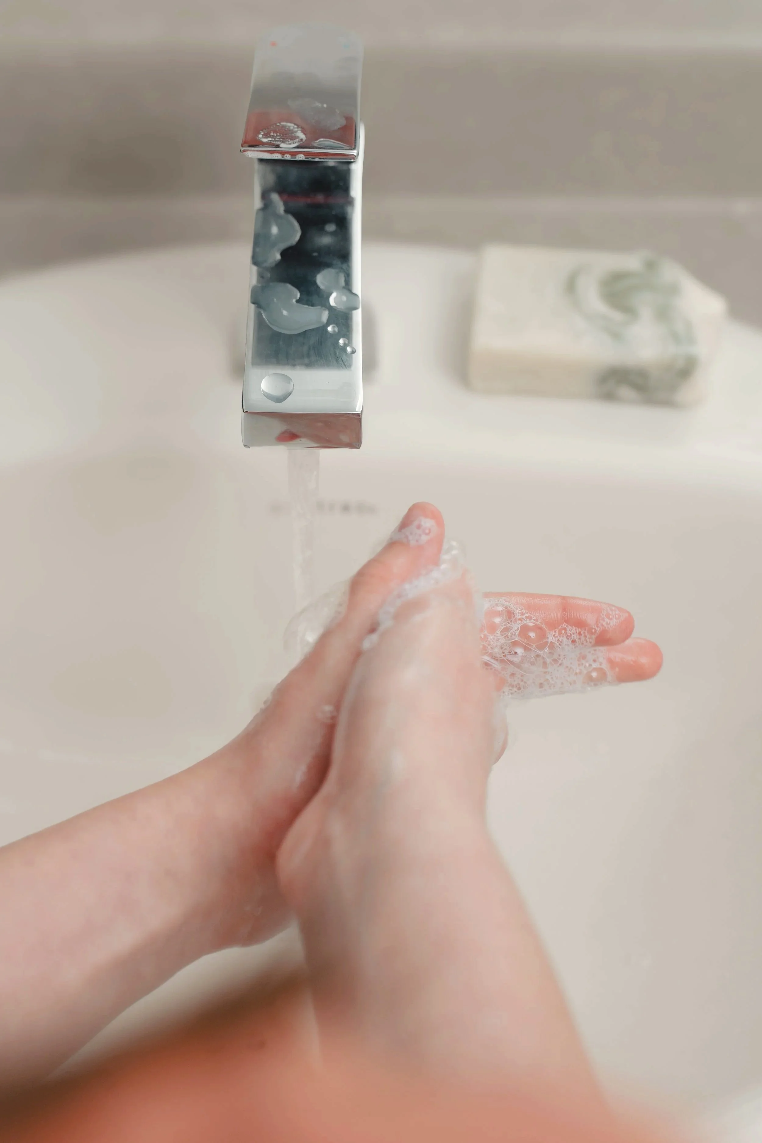 _A740915.jpg