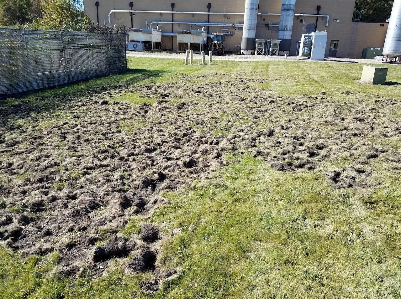 A patch of grass with freshly tilled soil and uneven footprints, next to a building with industrial equipment, vents, and pipes