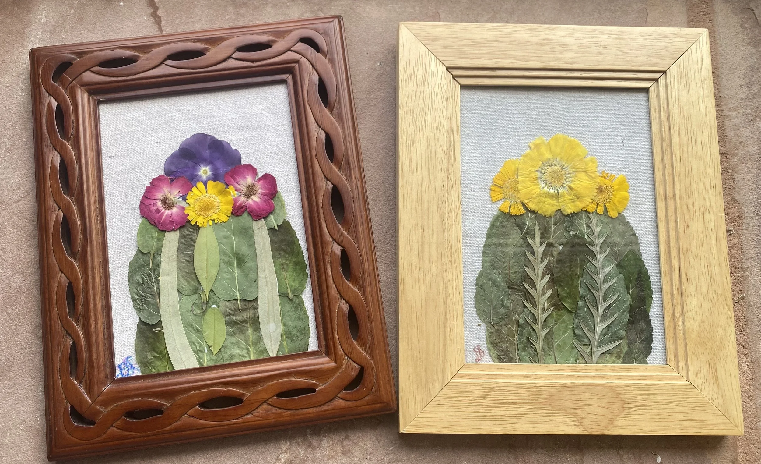 Pressed Petal Studio: Create Your Own Botanical Art with Real Pressed Flowers