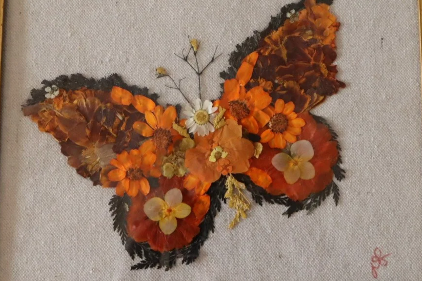 Decorative butterfly made of pressed marigolds and yellow and orange flowers in beautiful vintage frame.