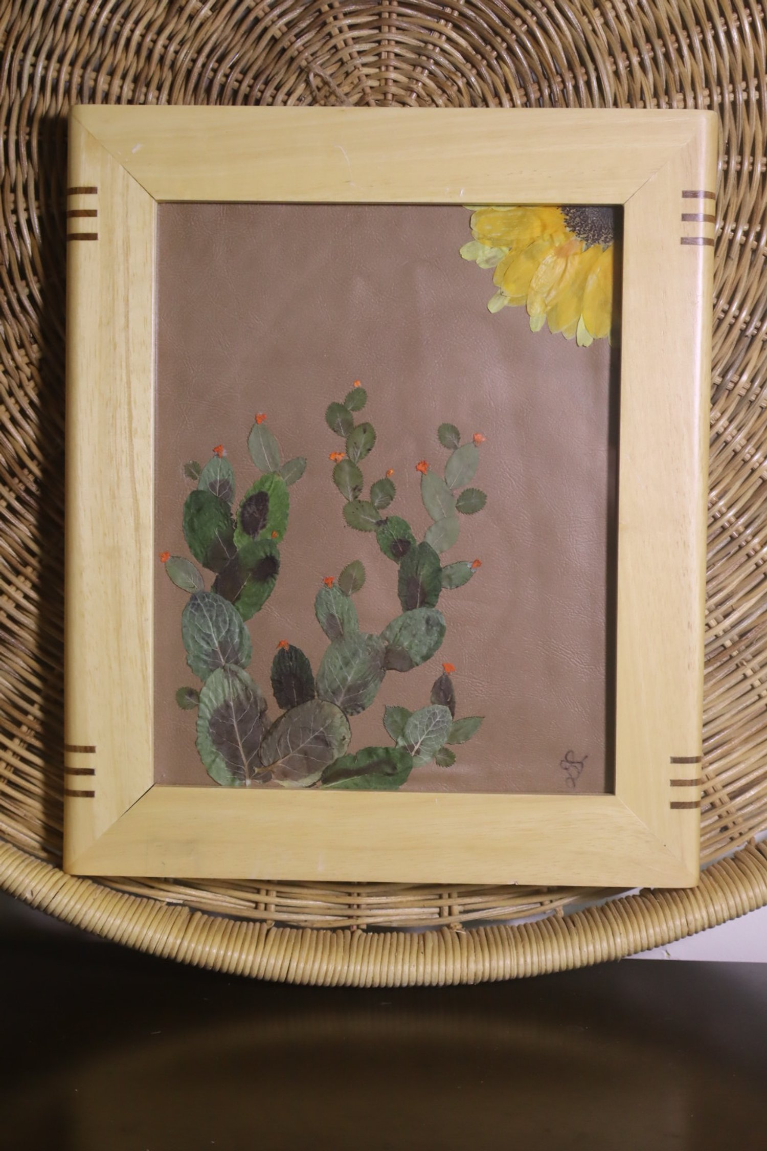 The Frontier  | nature inspired butterfly decor