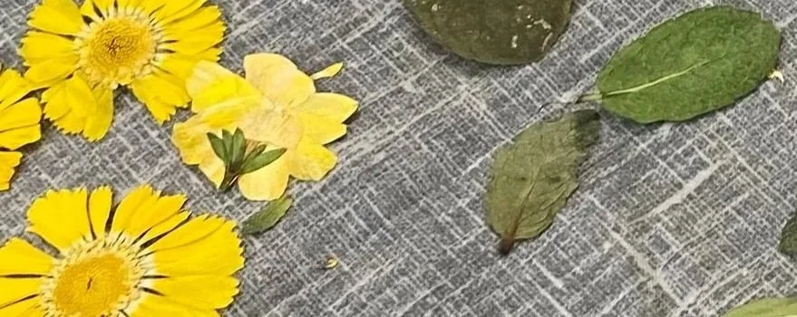 gathered pressed mint leaves and wildflowers