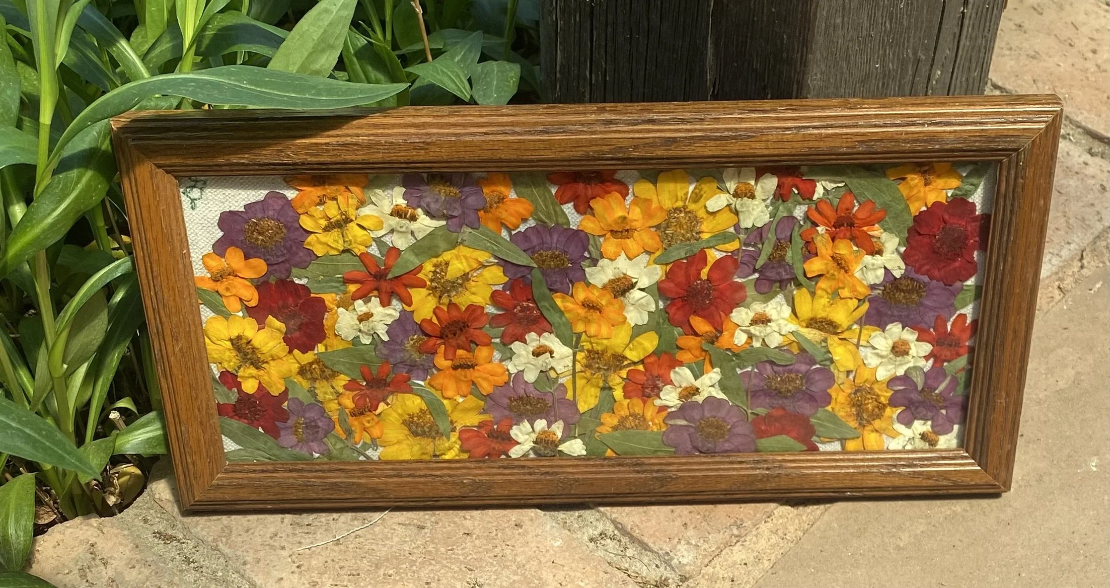 A framed display of pressed colorful flowers, including yellow, orange, white, purple, and red blossoms, placed on a white background. The frame is wooden and is leaning against a wooden post, next to green leafy plants and a stone surface.