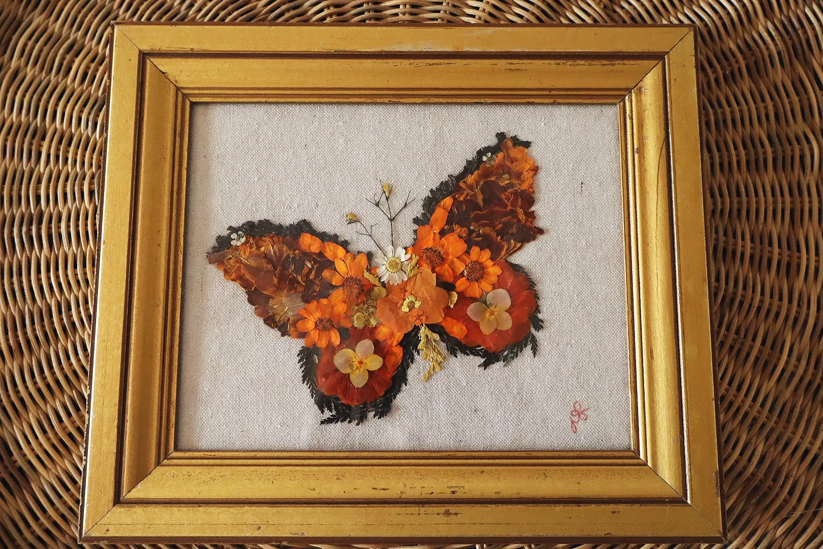 Poppy  | nature inspired butterfly decor