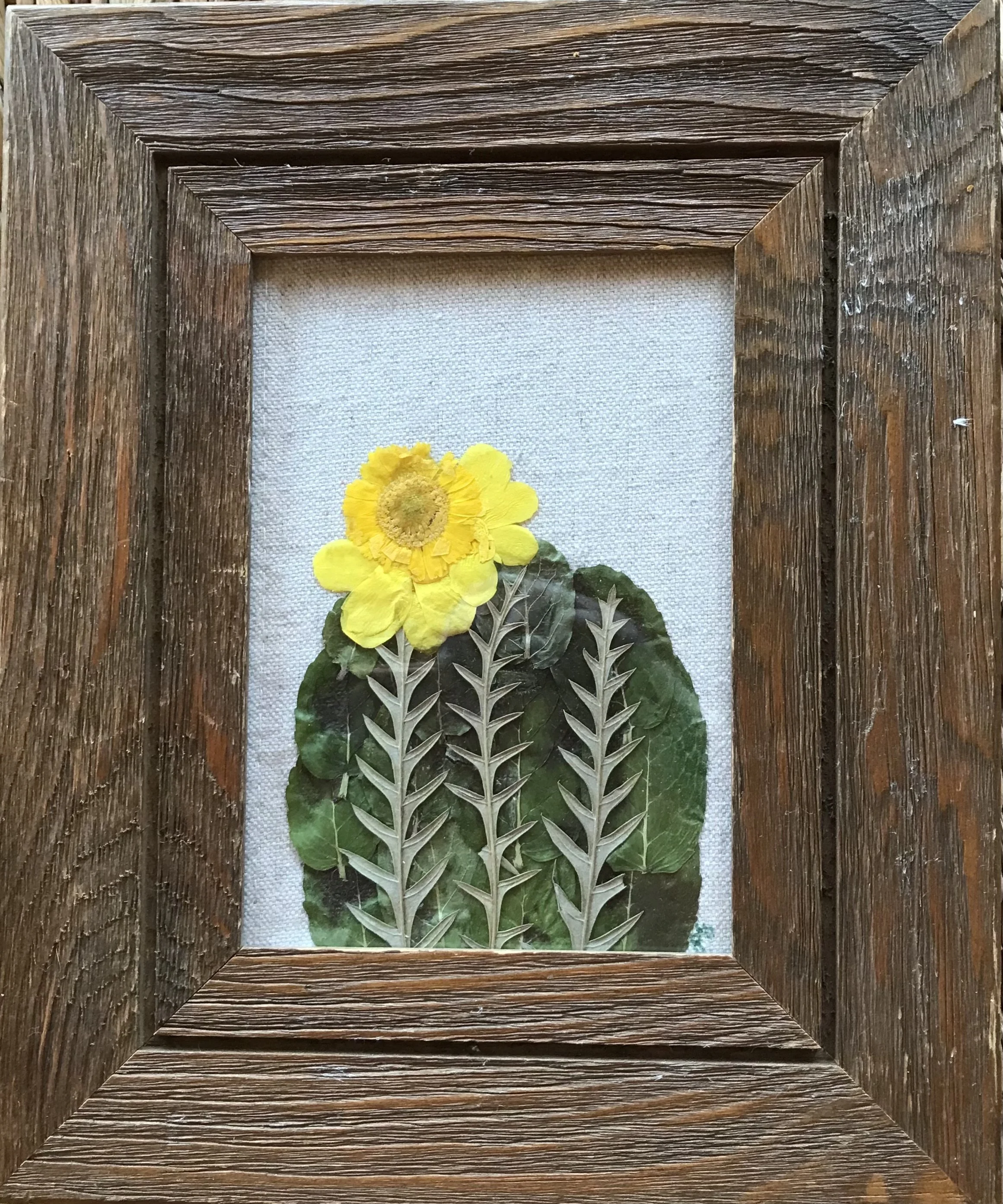 A framed display of a yellow flower with green leaves. Hand crafted original one of a kind art. Pressed Flowers