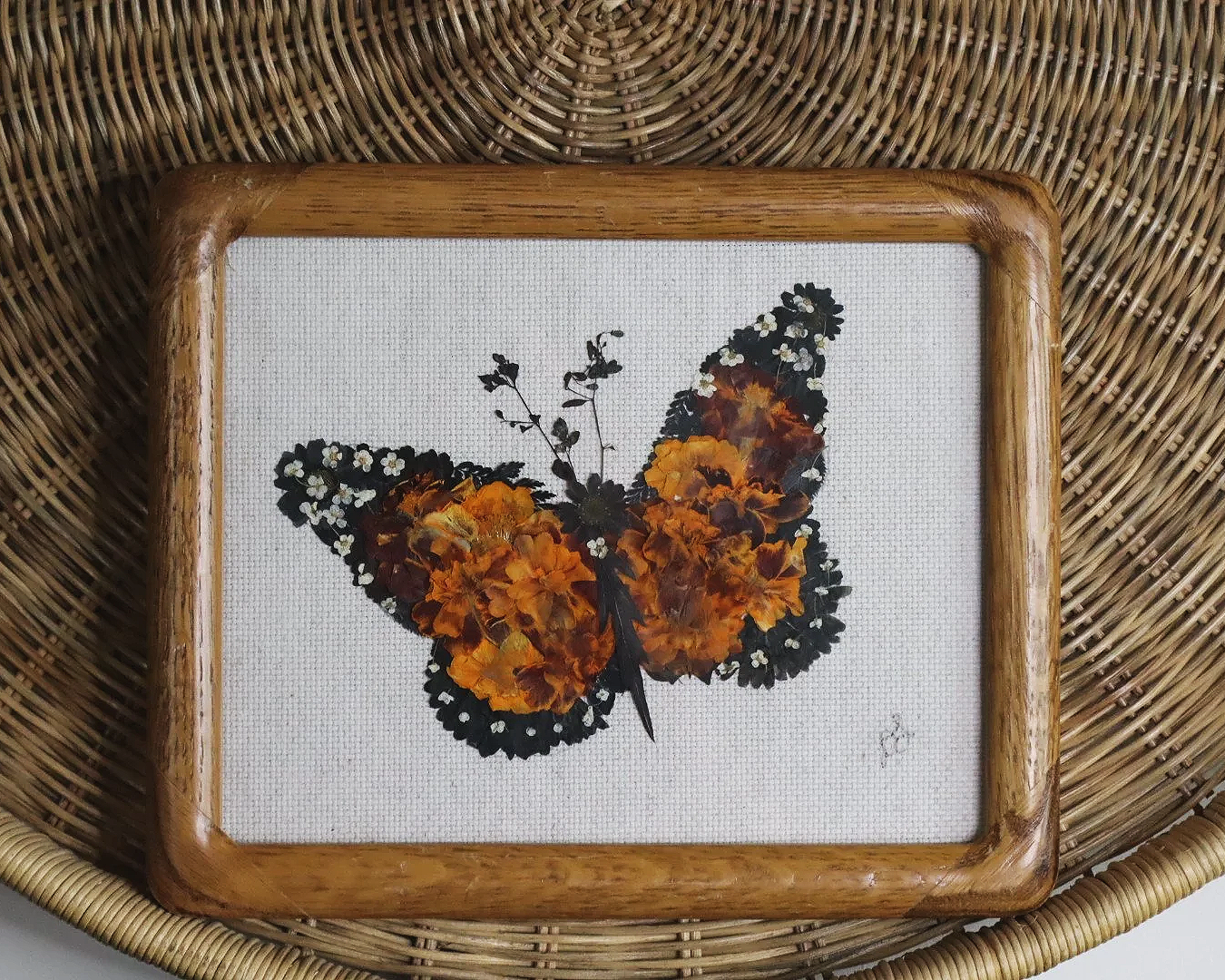 Monty's Way  | nature inspired butterfly decor