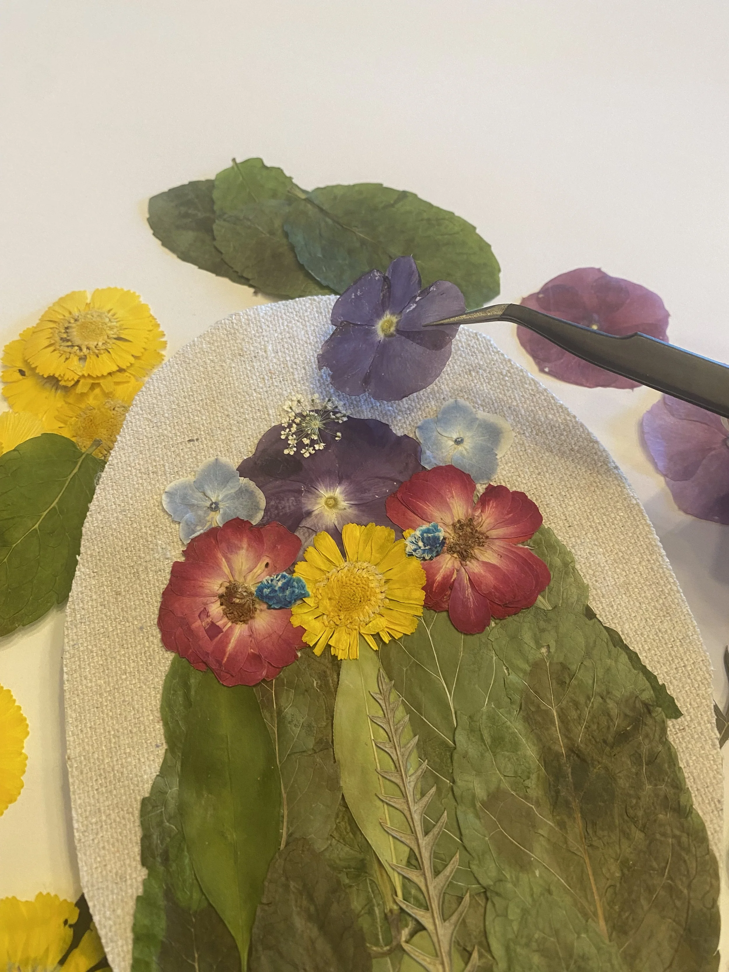 Various colorful pressed flowers and green leaves arranged on a neutral fabric background.