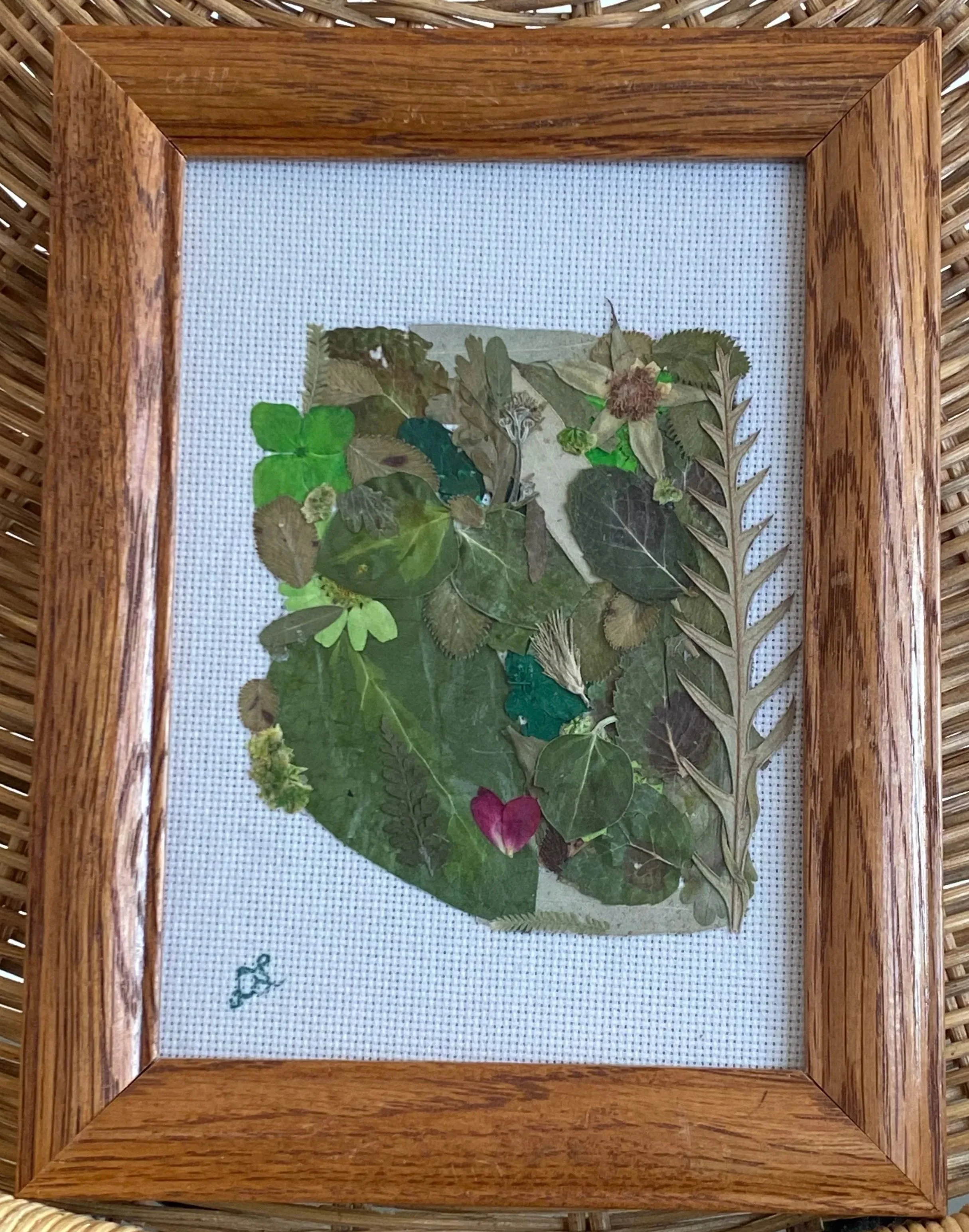 Love the Desert  -Sun Baked