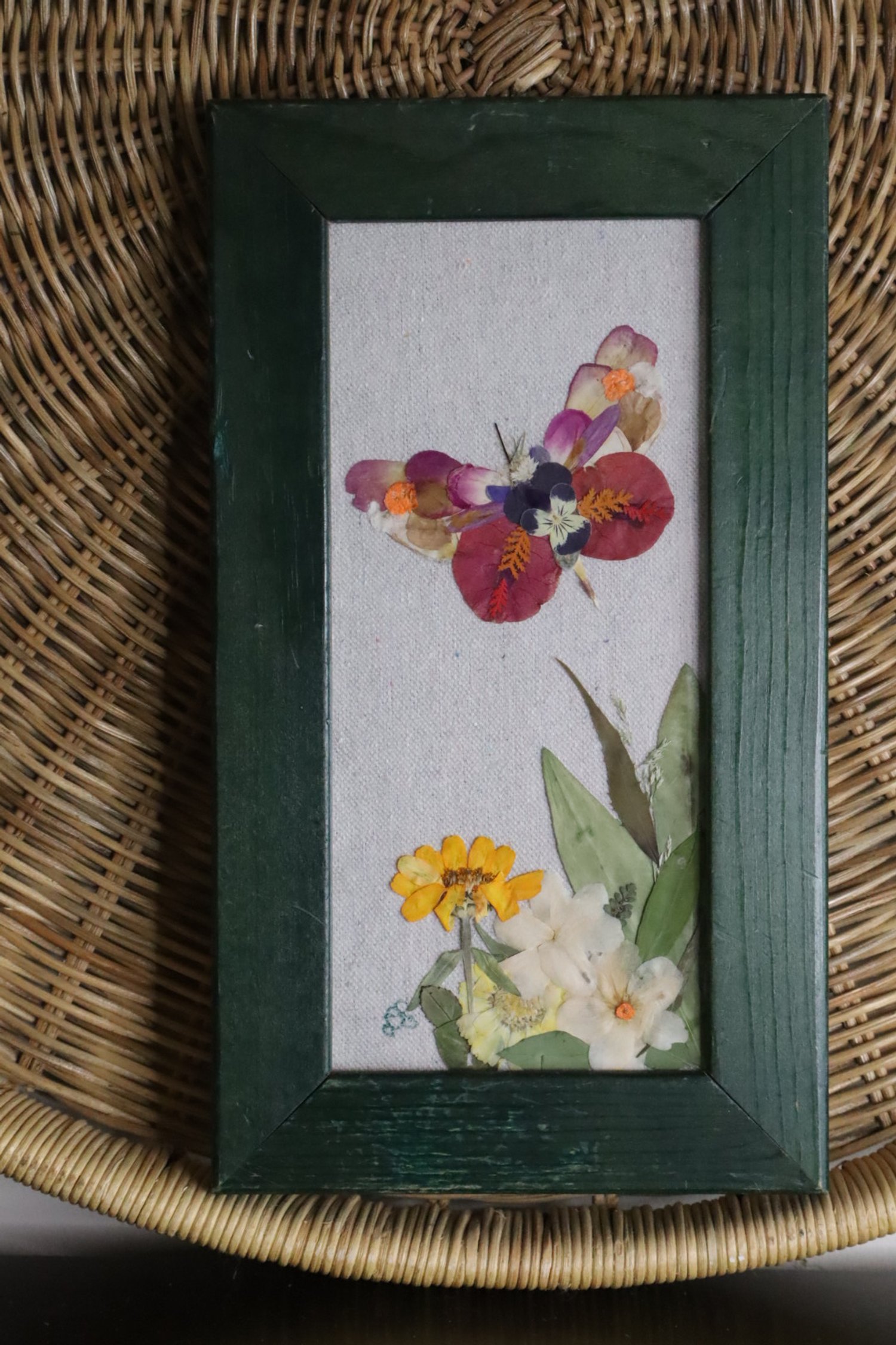 Daphne  | nature inspired butterfly decor