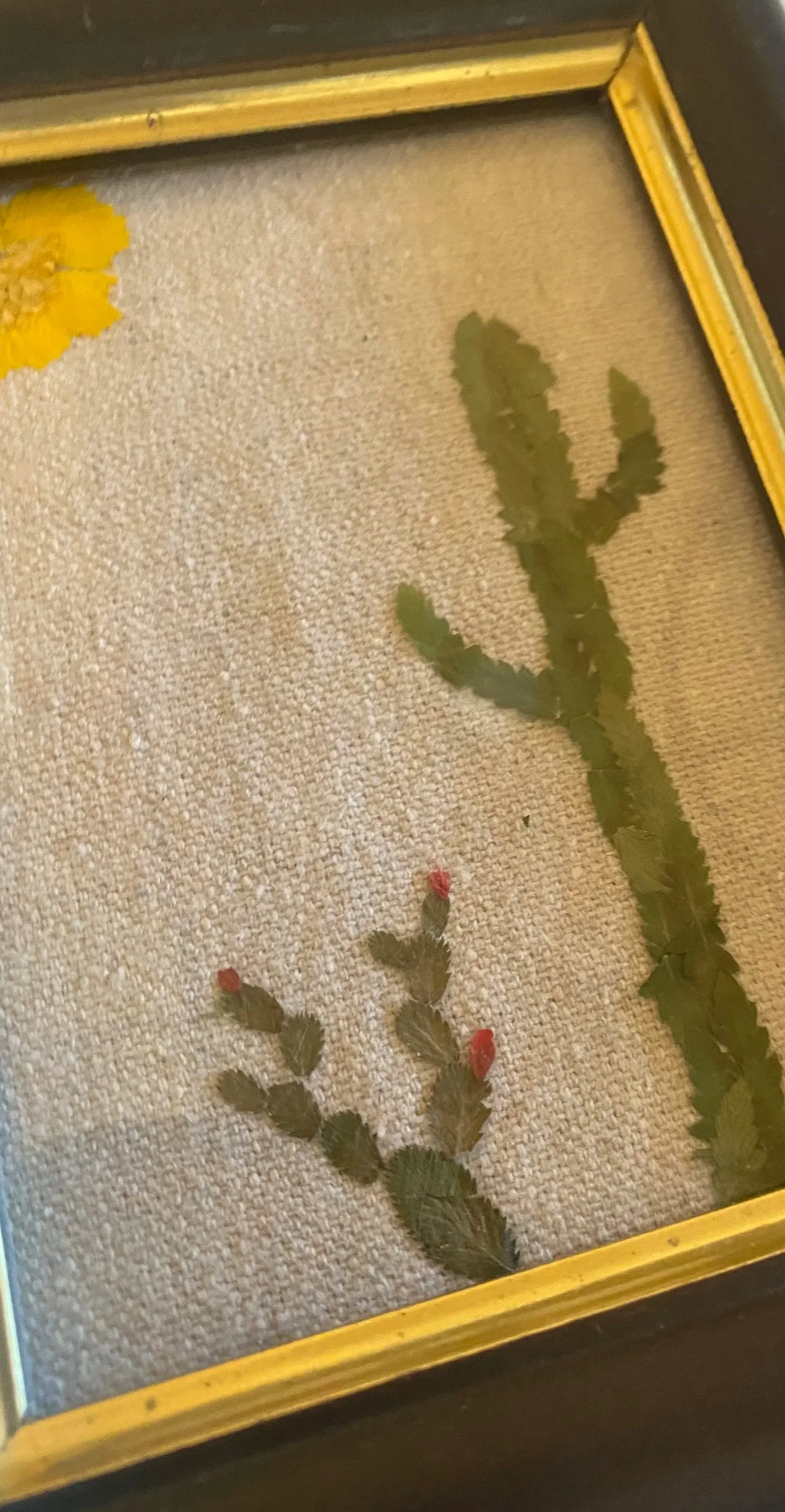 IMG_9928+%281%29.jpg
