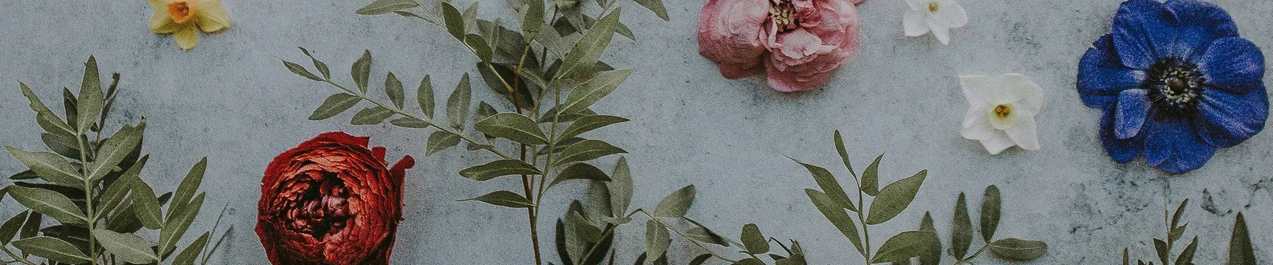 Colorful flowers ready for pressing.