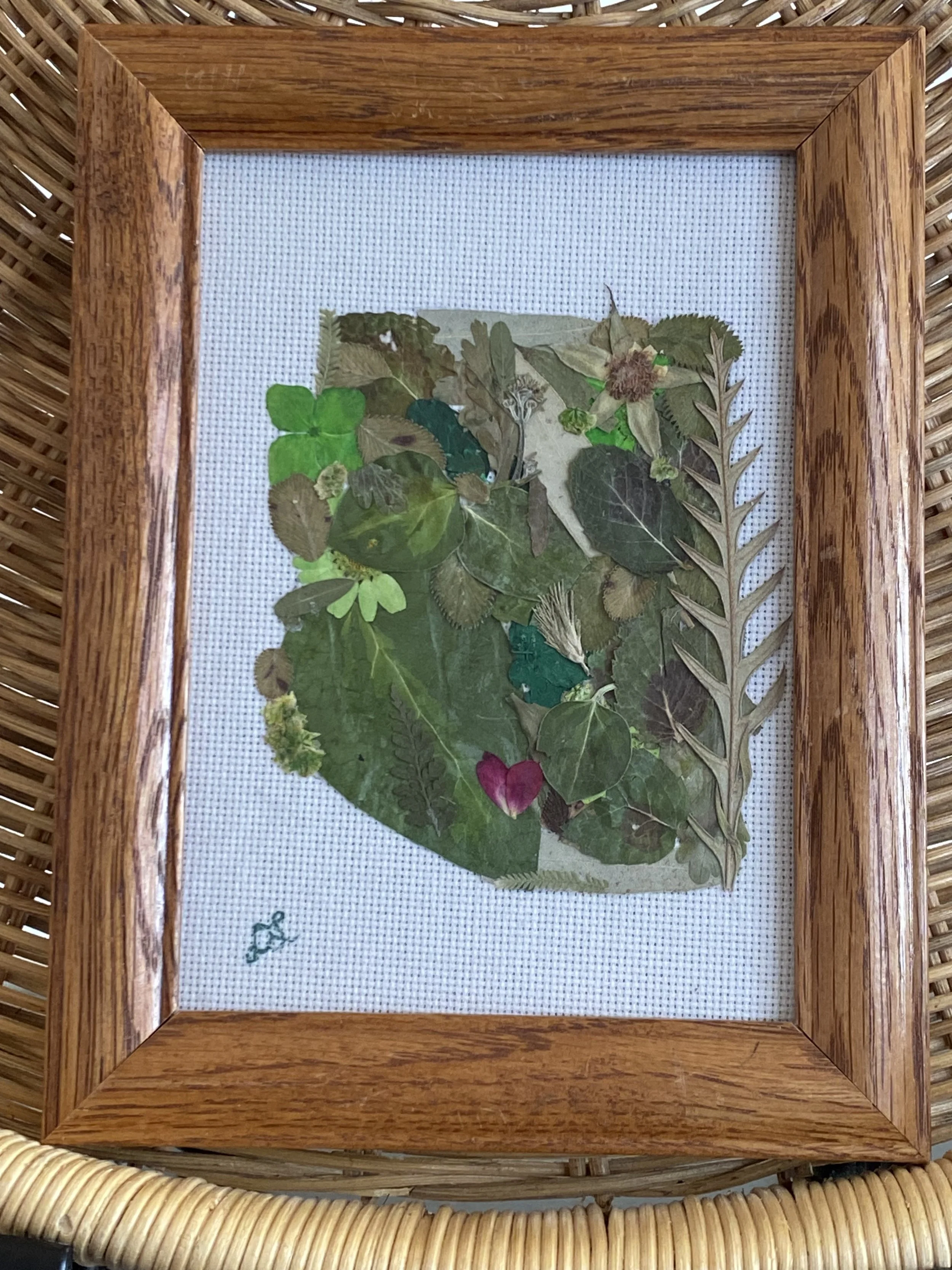 Love the Desert  | nature inspired southwestern decor