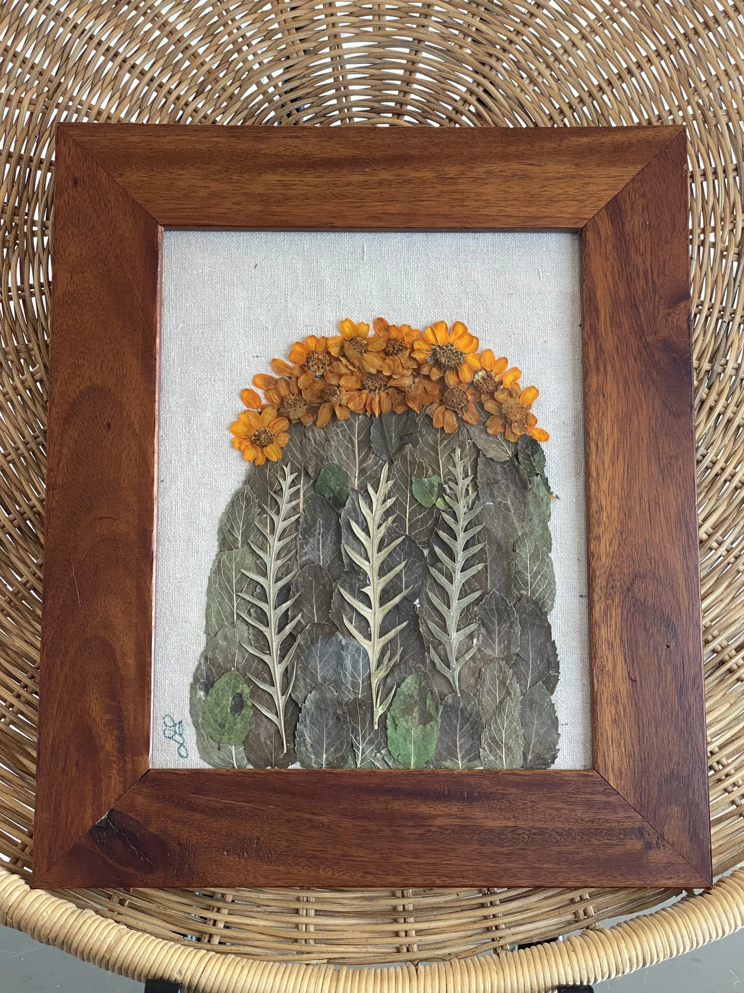 Painted Land  | nature inspired southwestern decor