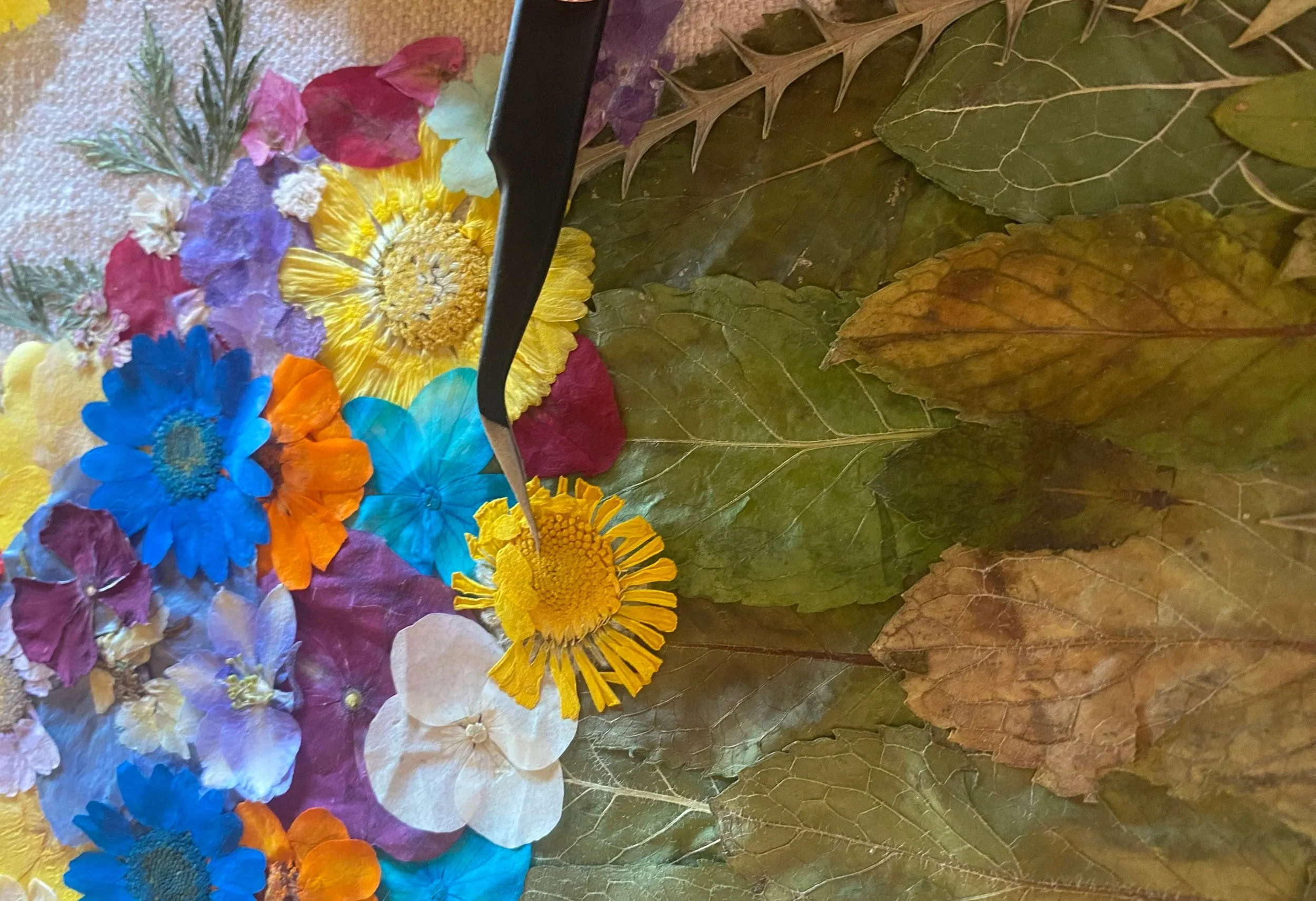 Pressed flowers hand placed hand crafted original one of a kind art