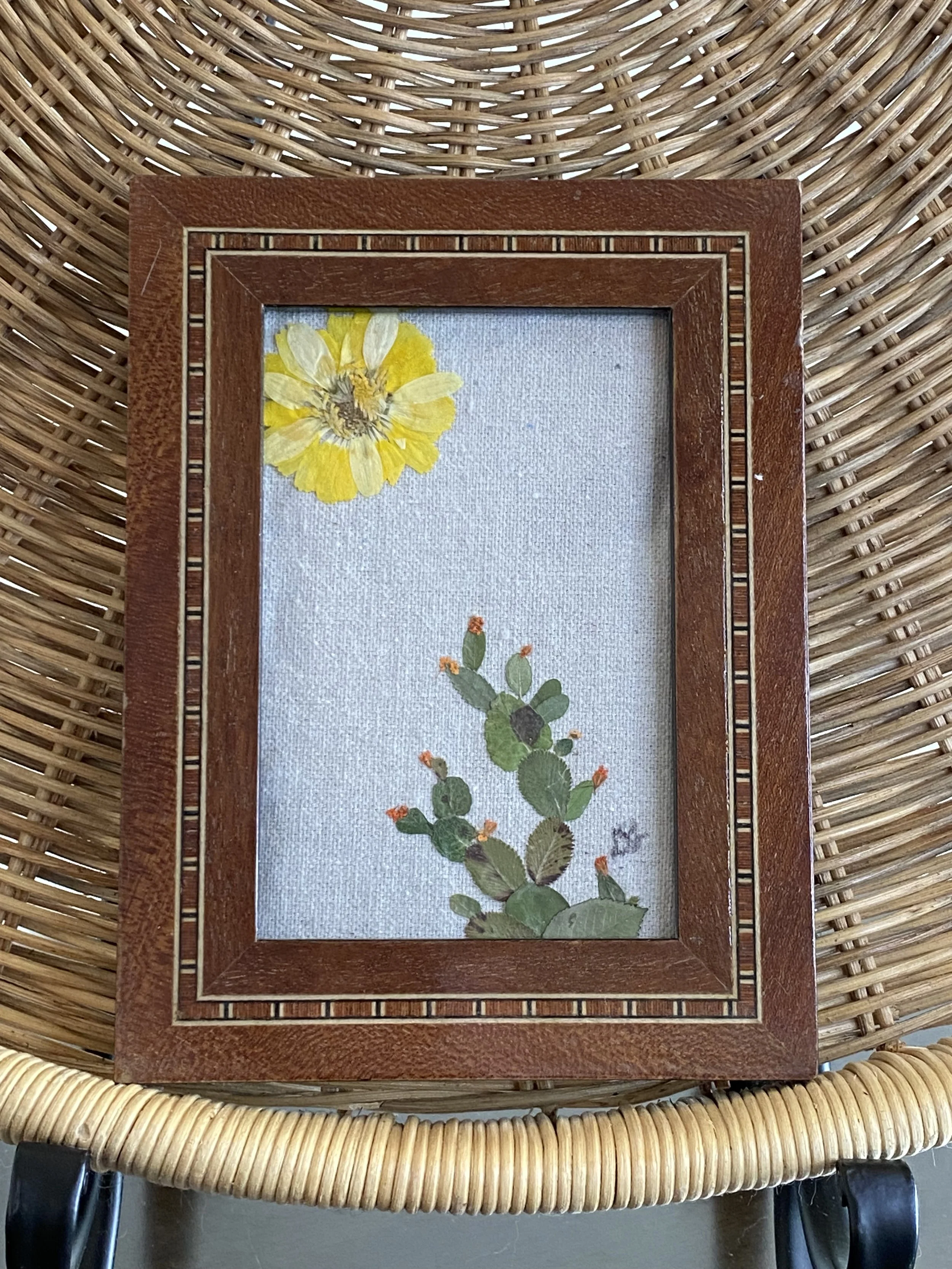 Sierra Sun  | nature inspired butterfly decor