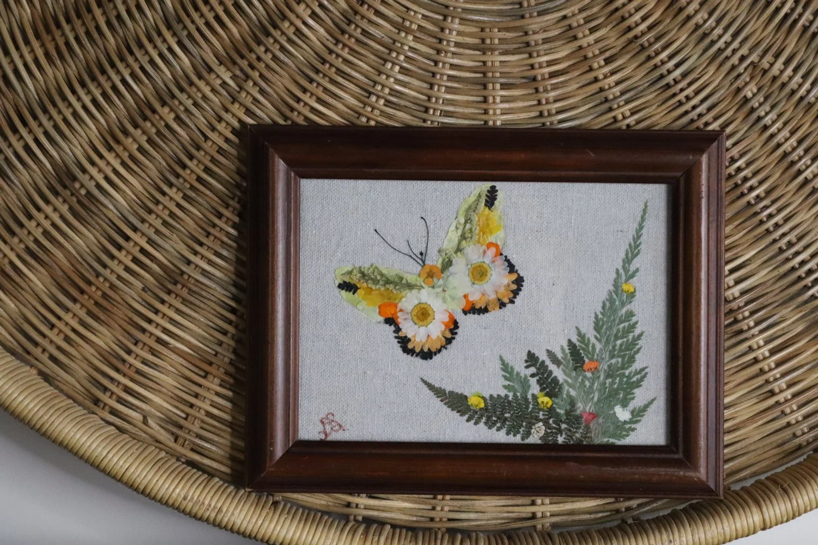 Carissa  | nature inspired butterfly decor