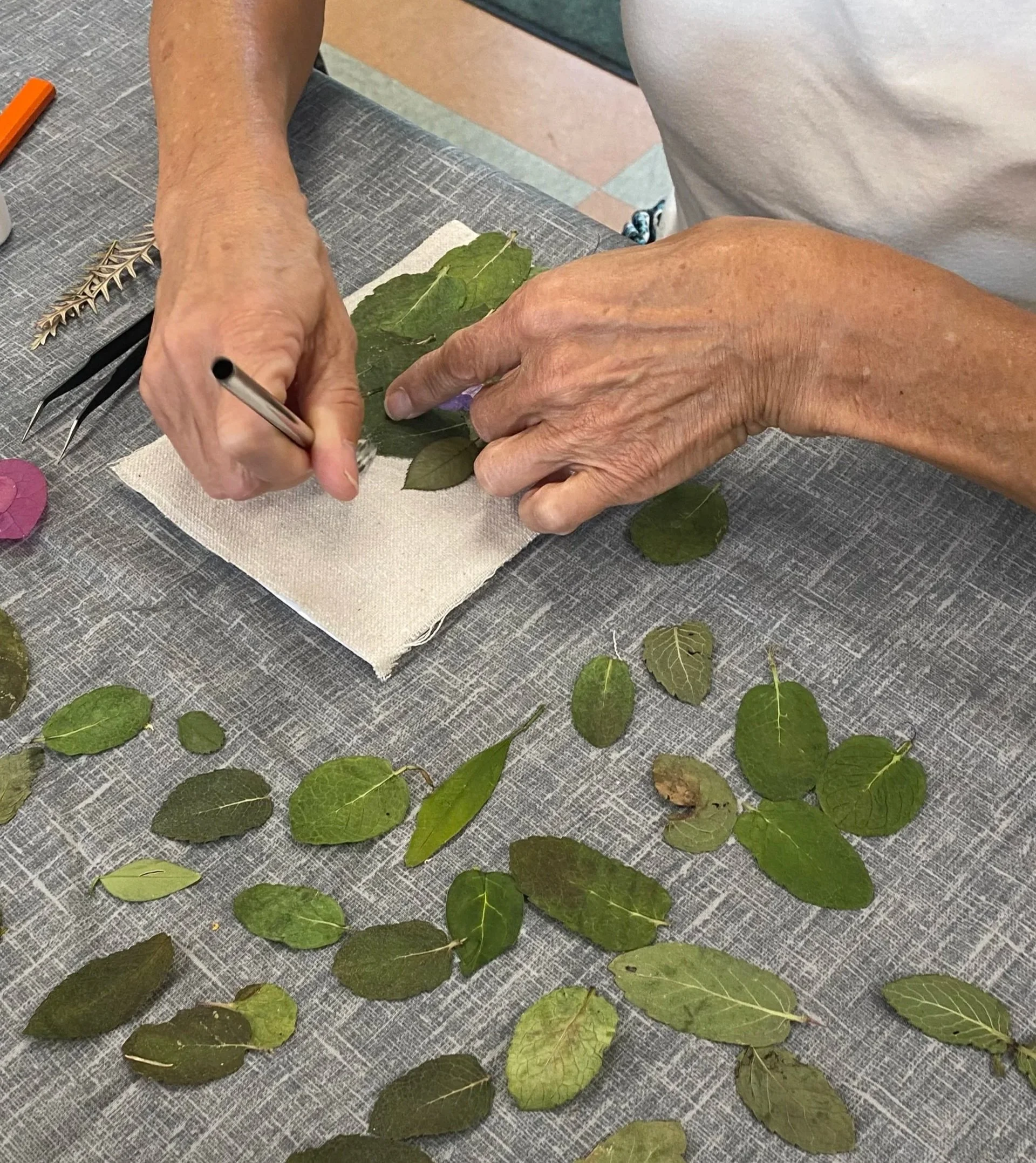 Arizona botanical artist arranging pressed flowers for original artwork