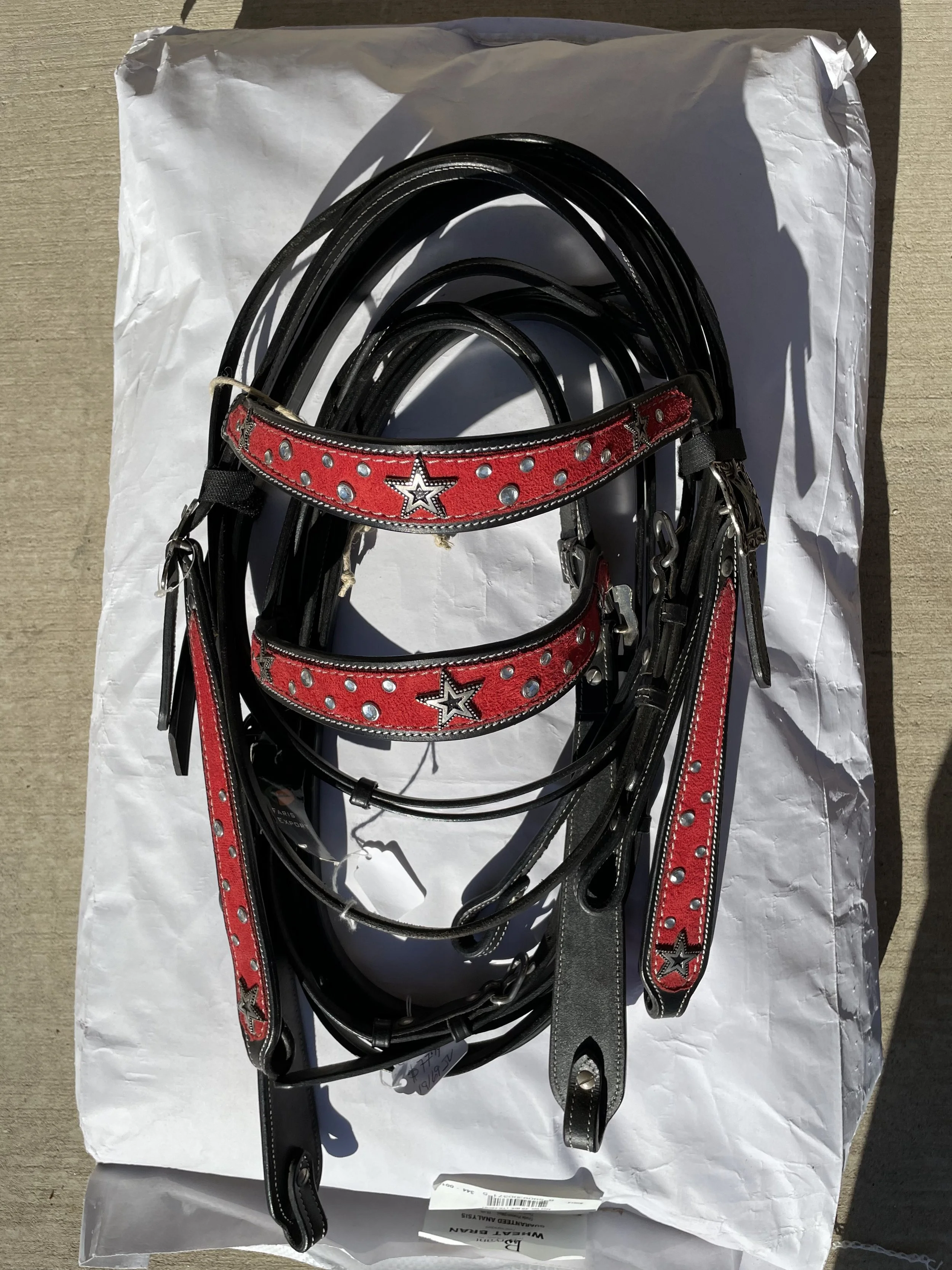 Star Horse bridle