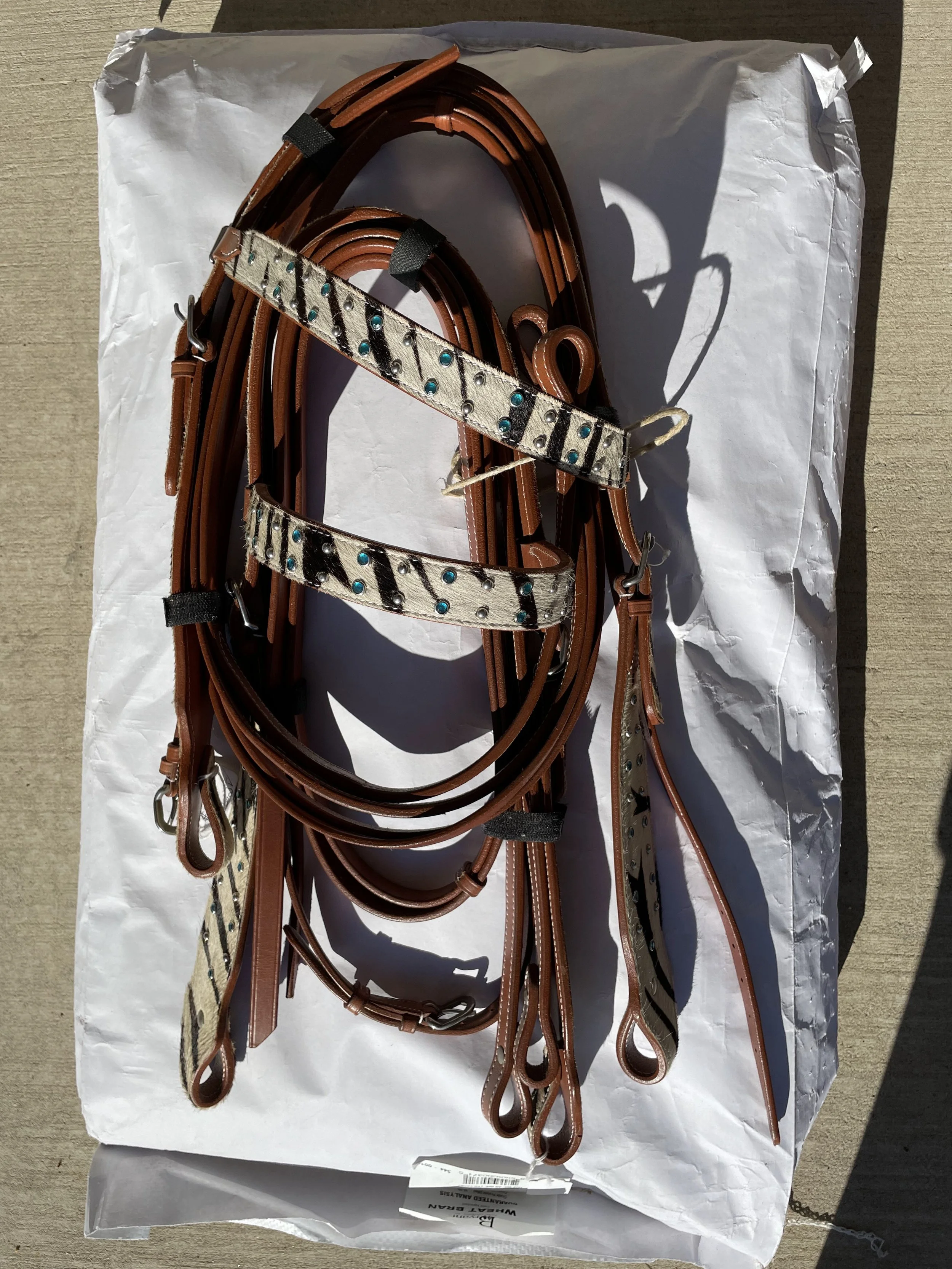 Zebra Horse bridle