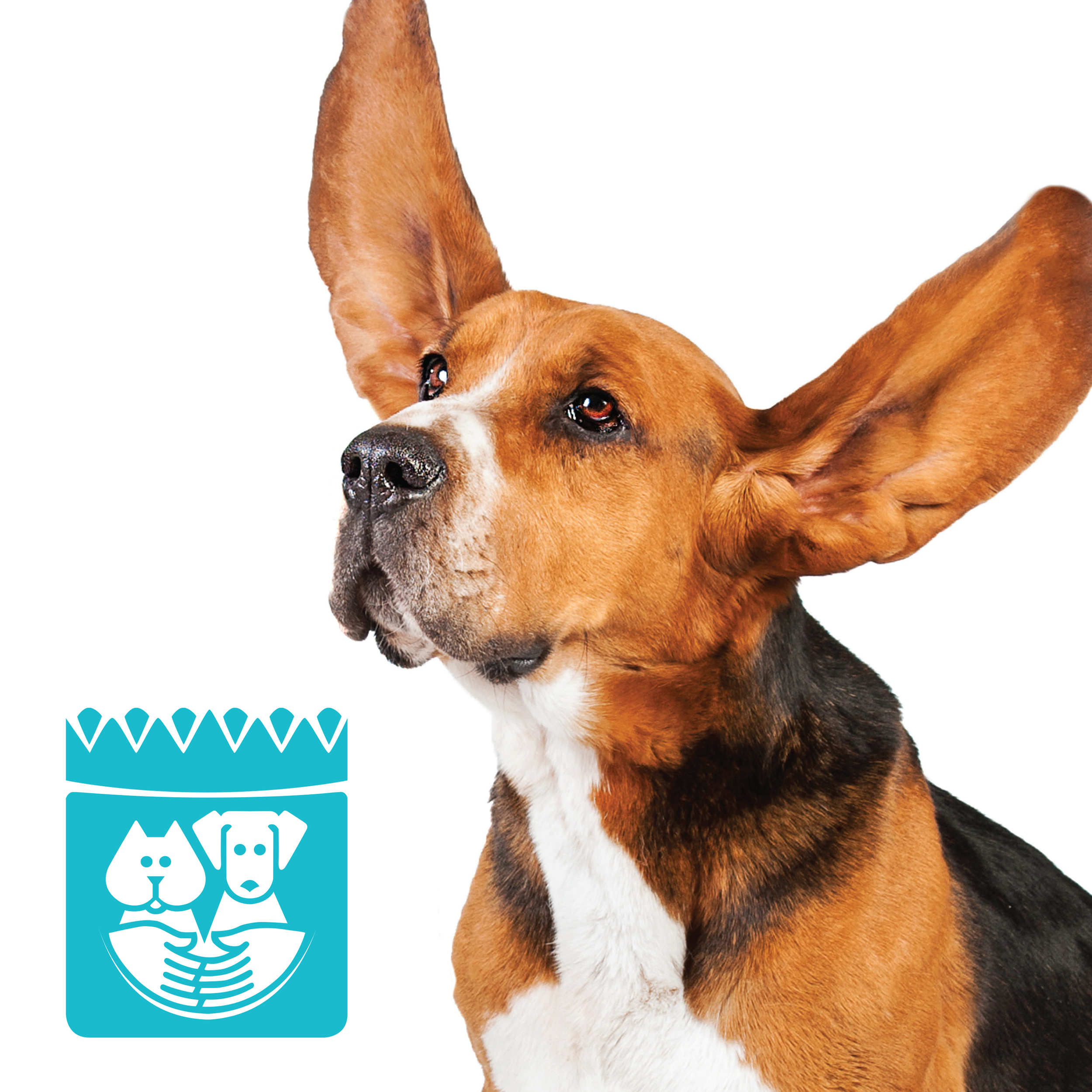 pasadena humane society
